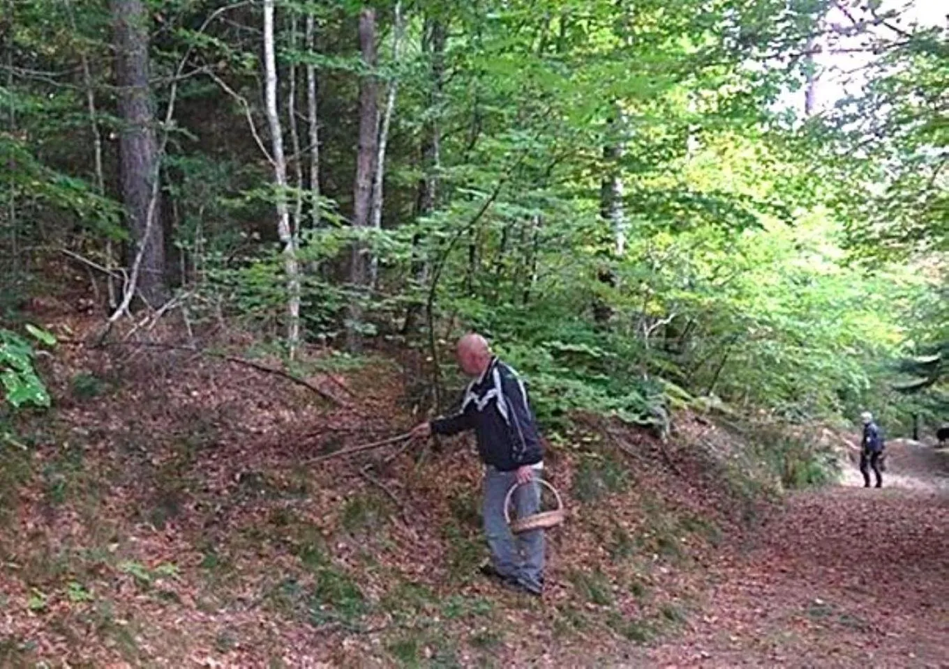 Off site in Chez Providence Chambres et Table d'Hôtes