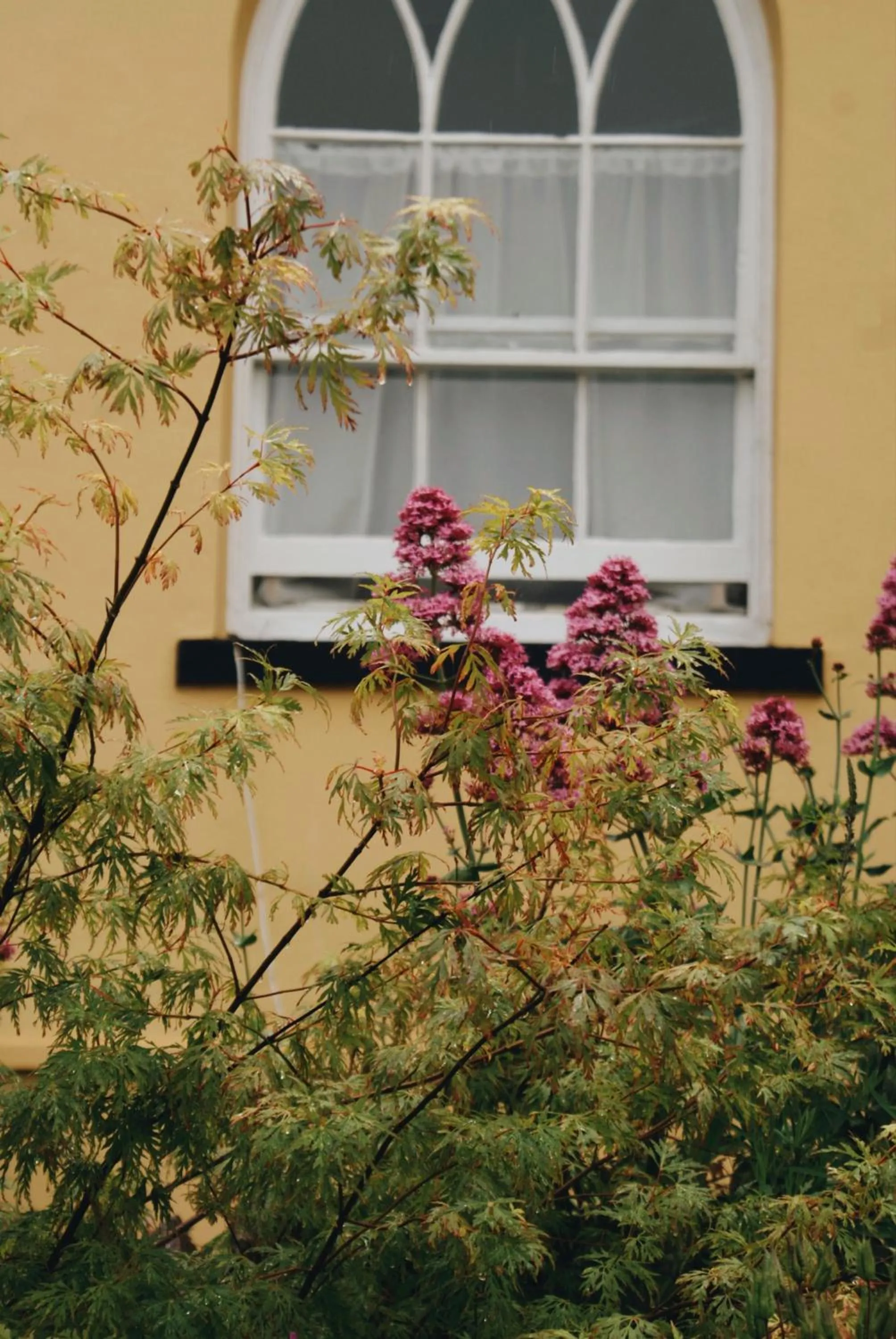 Garden in Ranscombe House