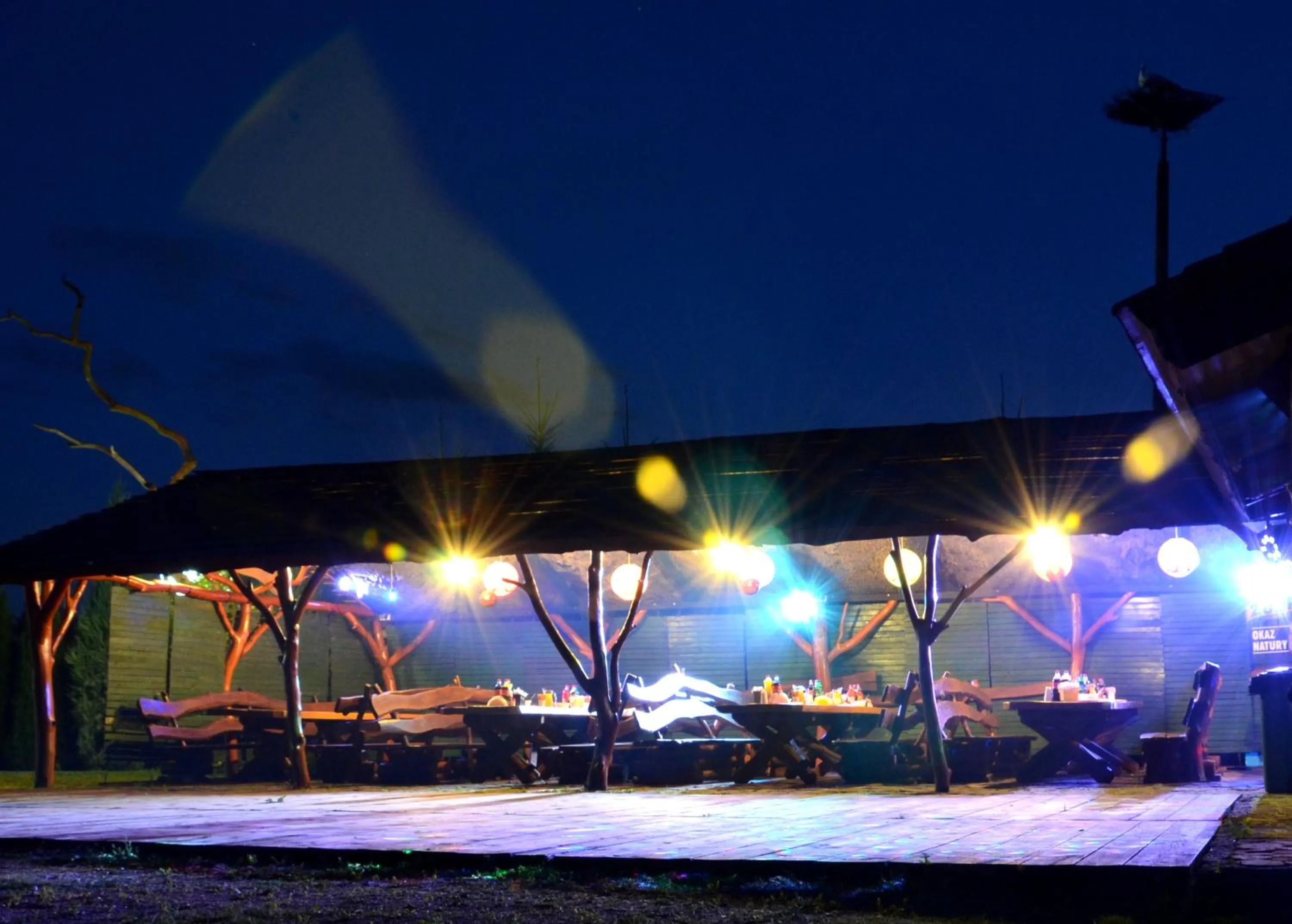 Area and facilities in Hotel Marco Płońsk Szkolna 115