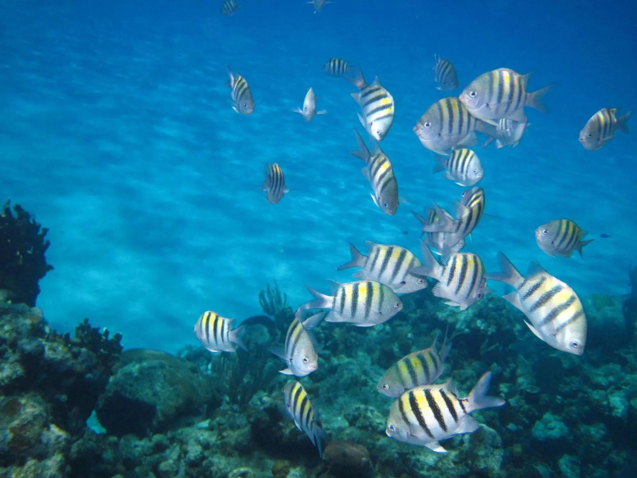 Fishing in Infinity Bay Spa & Beach Resort