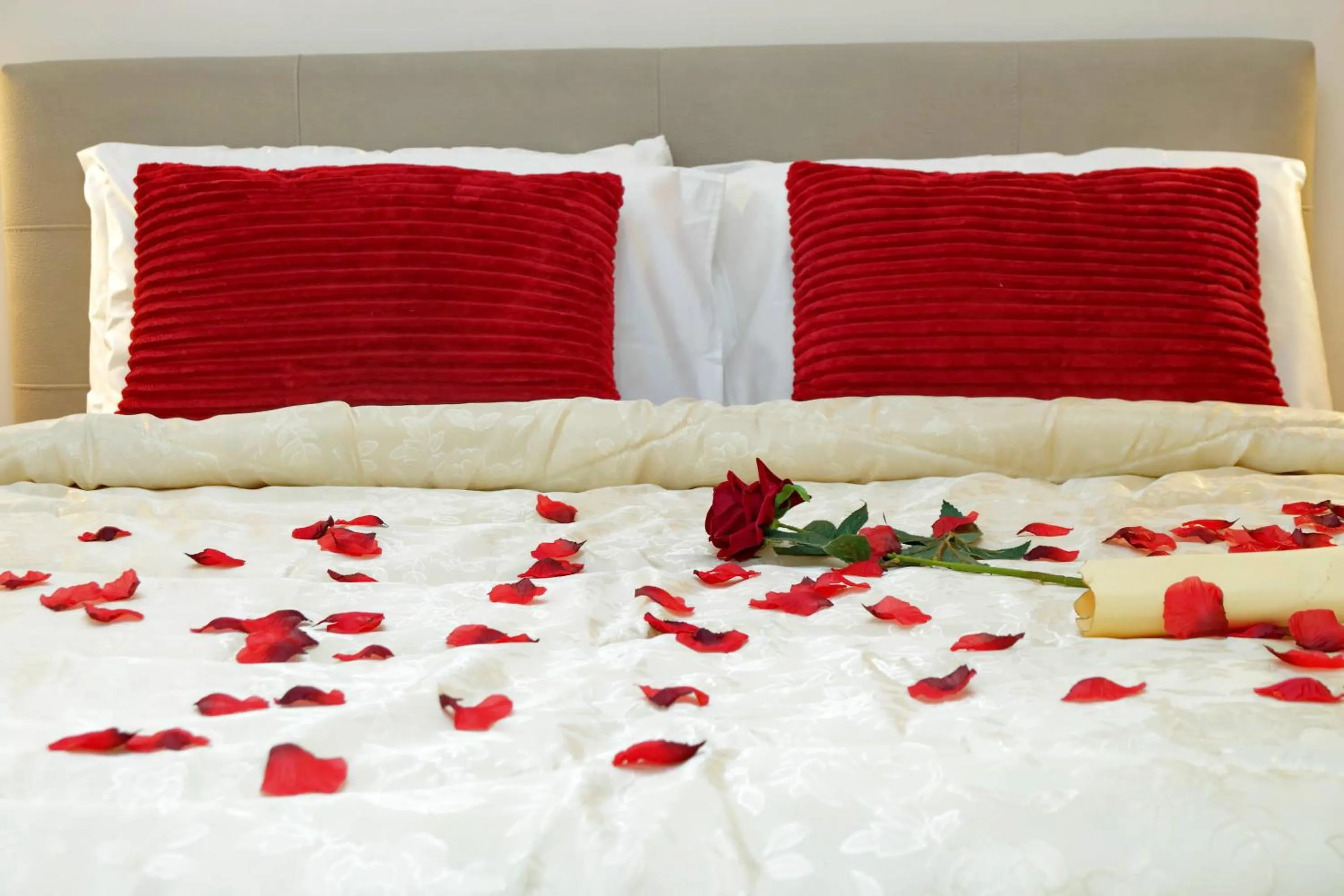 Bed in Termini Terrace