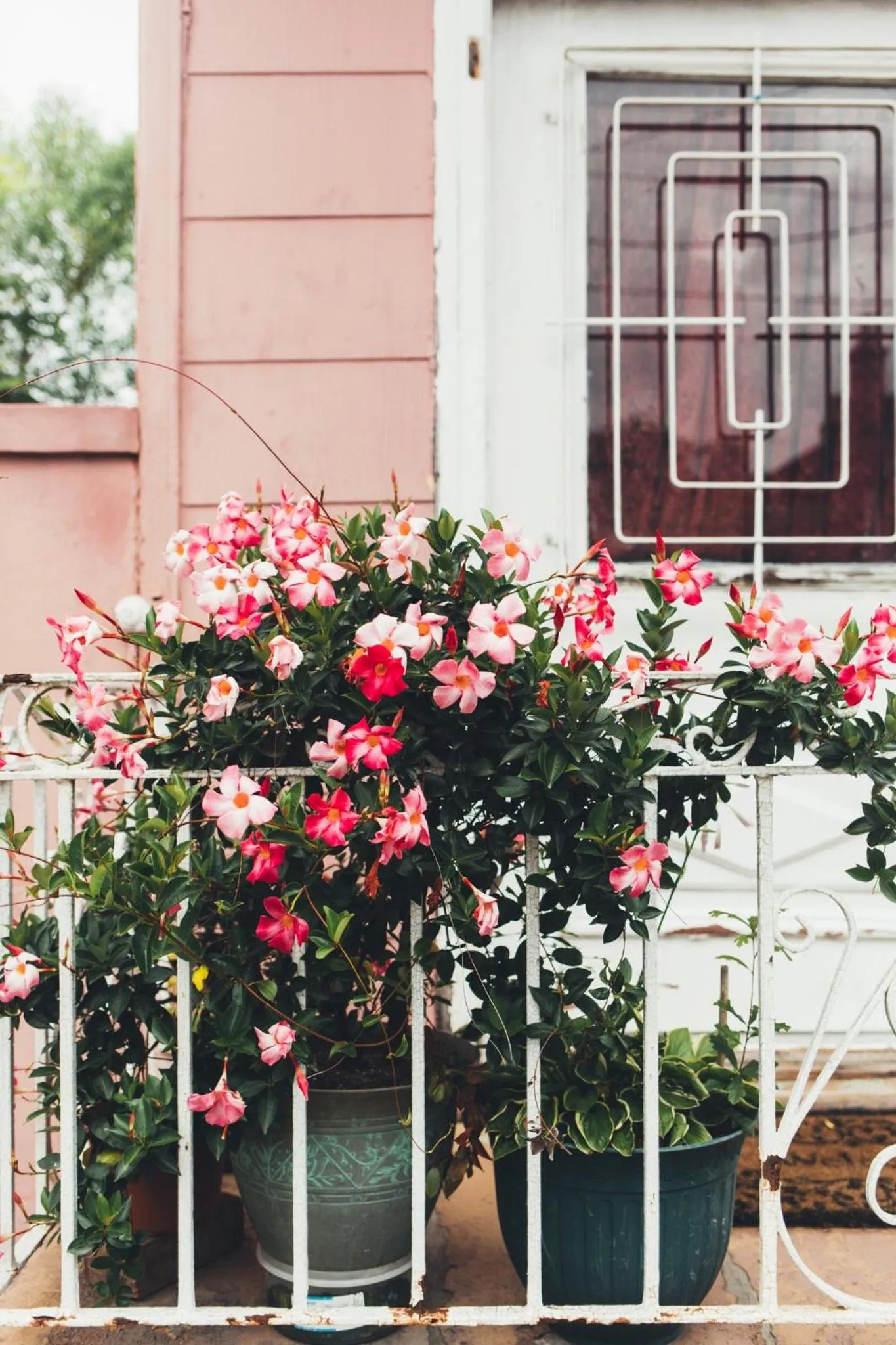 Other in Loews New Orleans Hotel