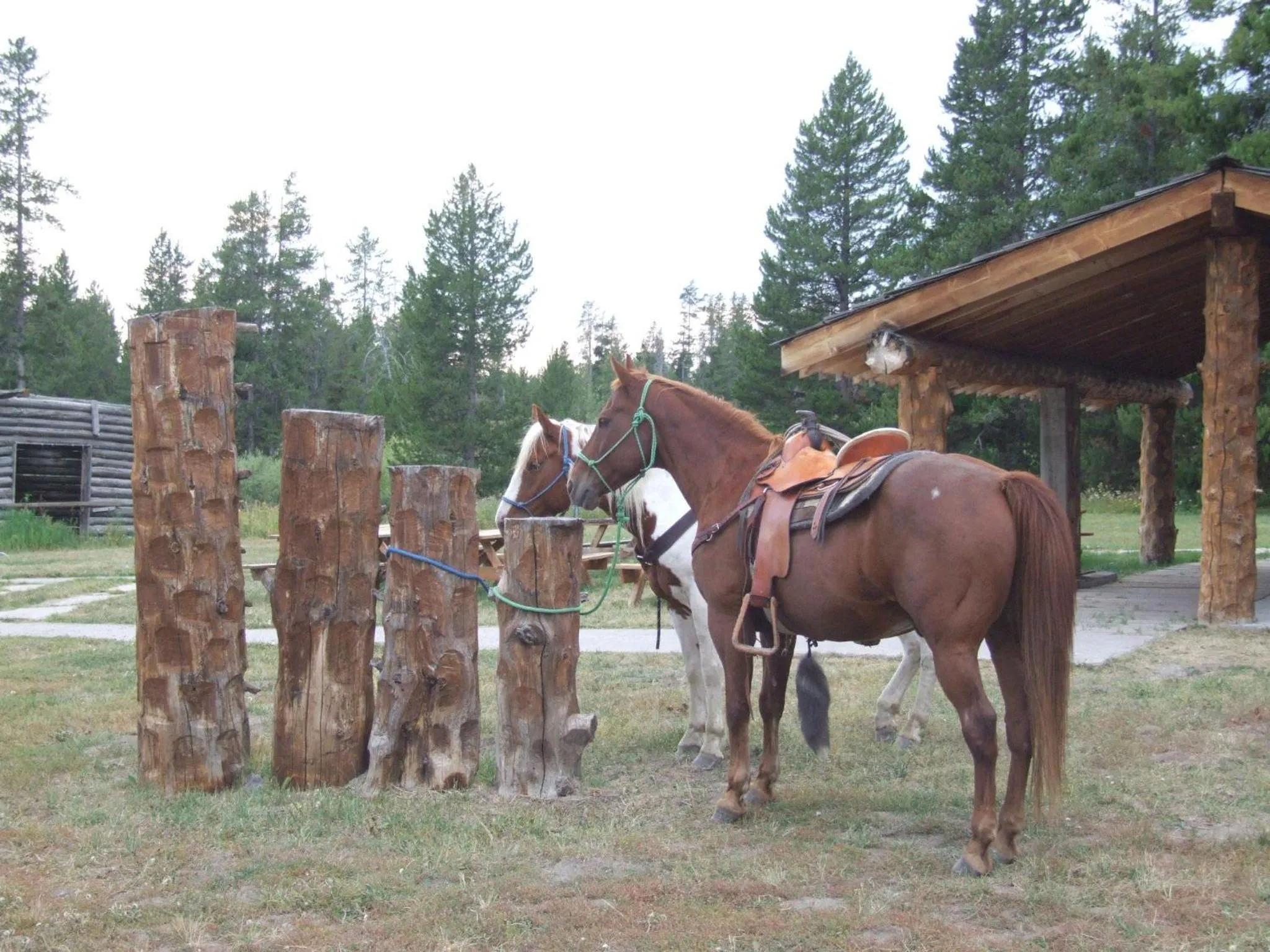 Other in Eagle Ridge Ranch