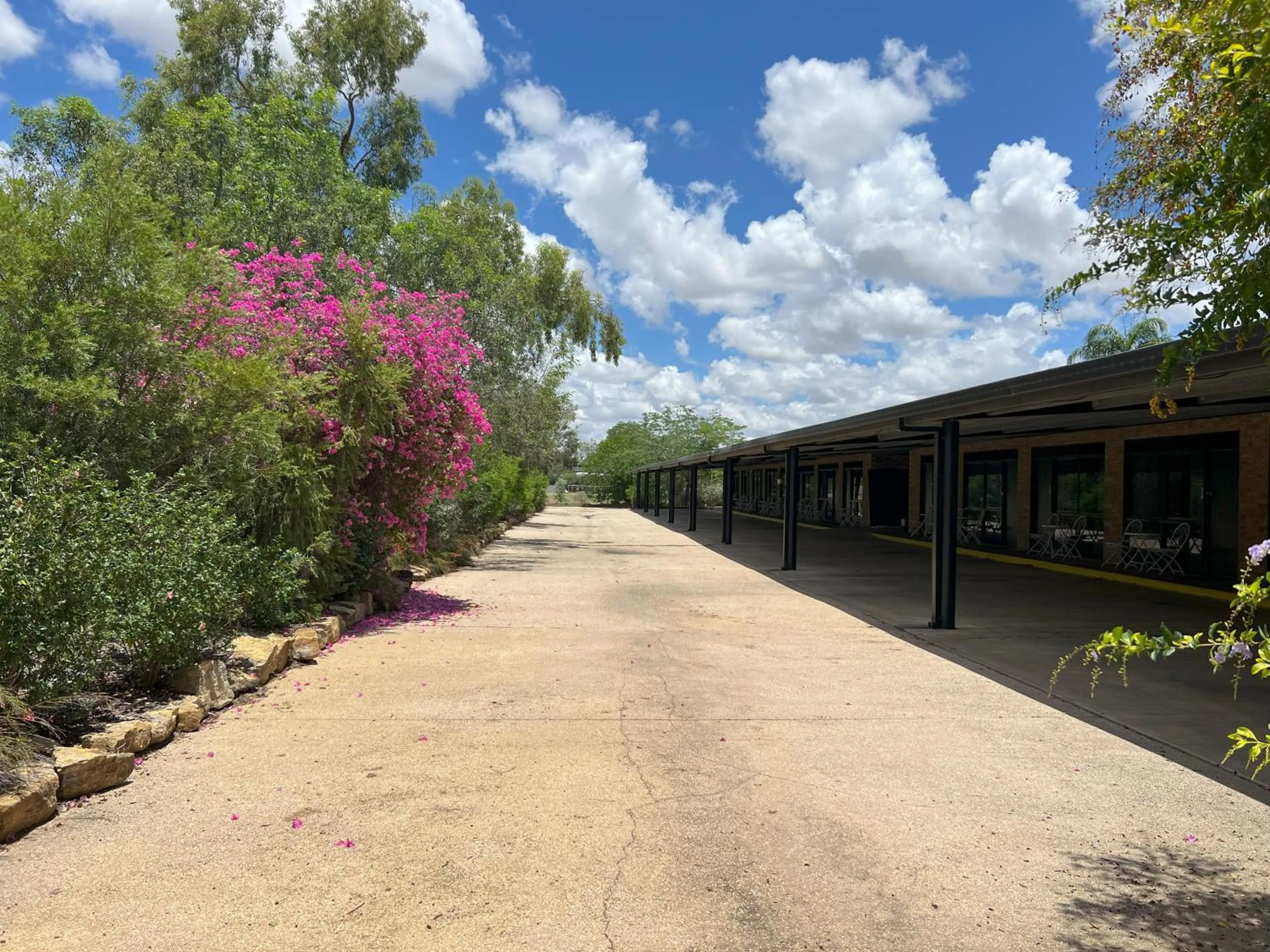 Garden in Albert Park Motor Inn