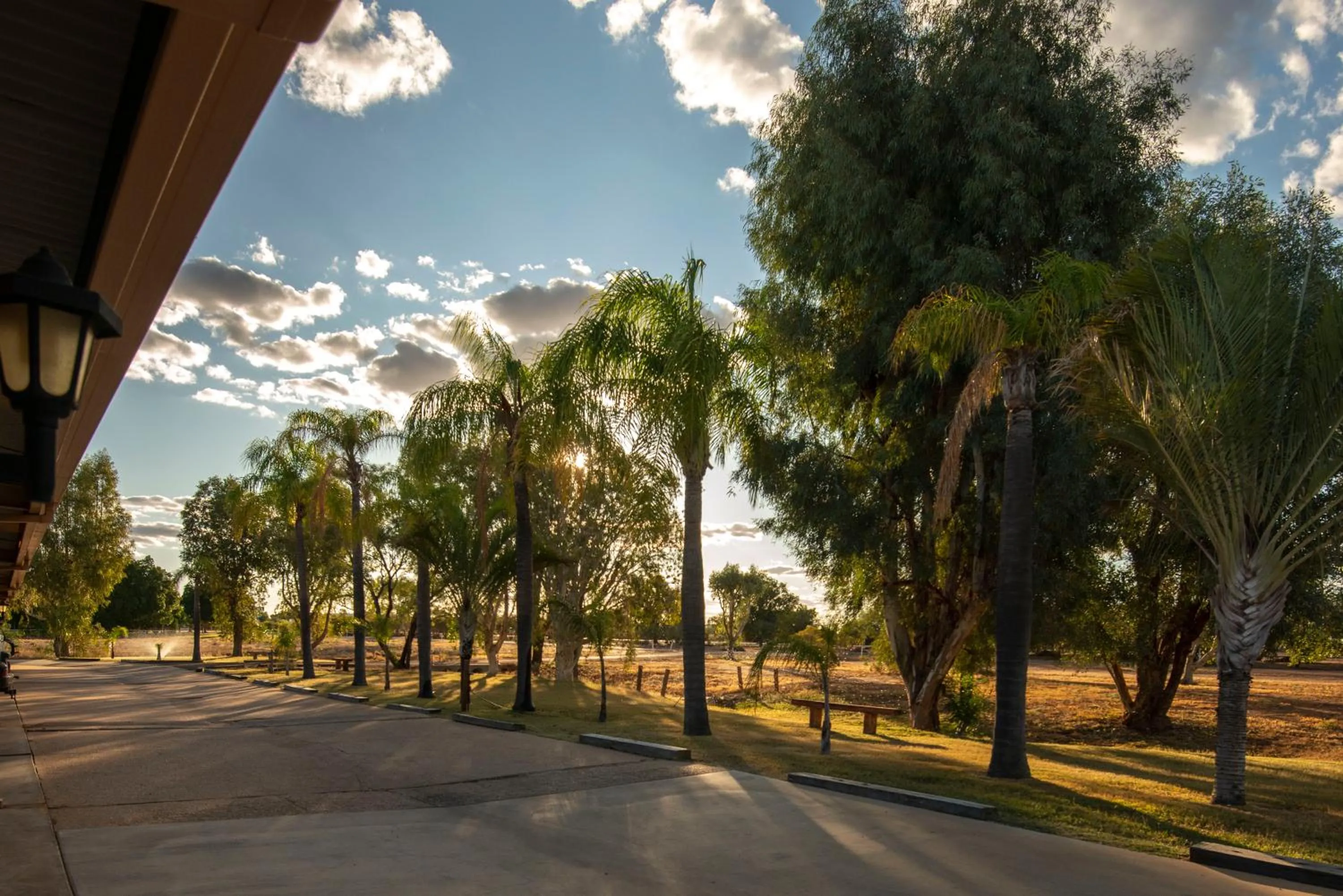 Natural landscape in Albert Park Motor Inn