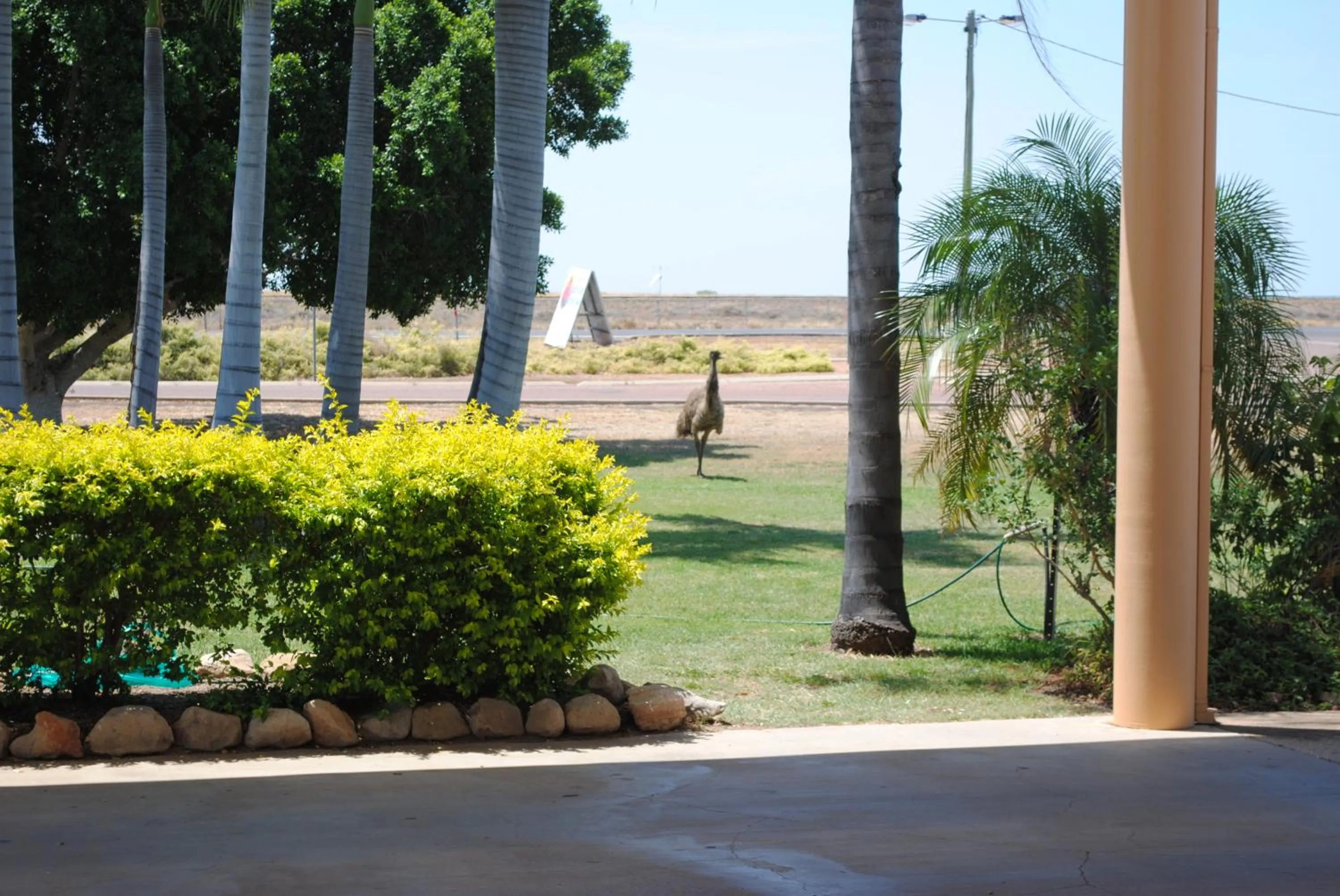 Garden in Albert Park Motor Inn