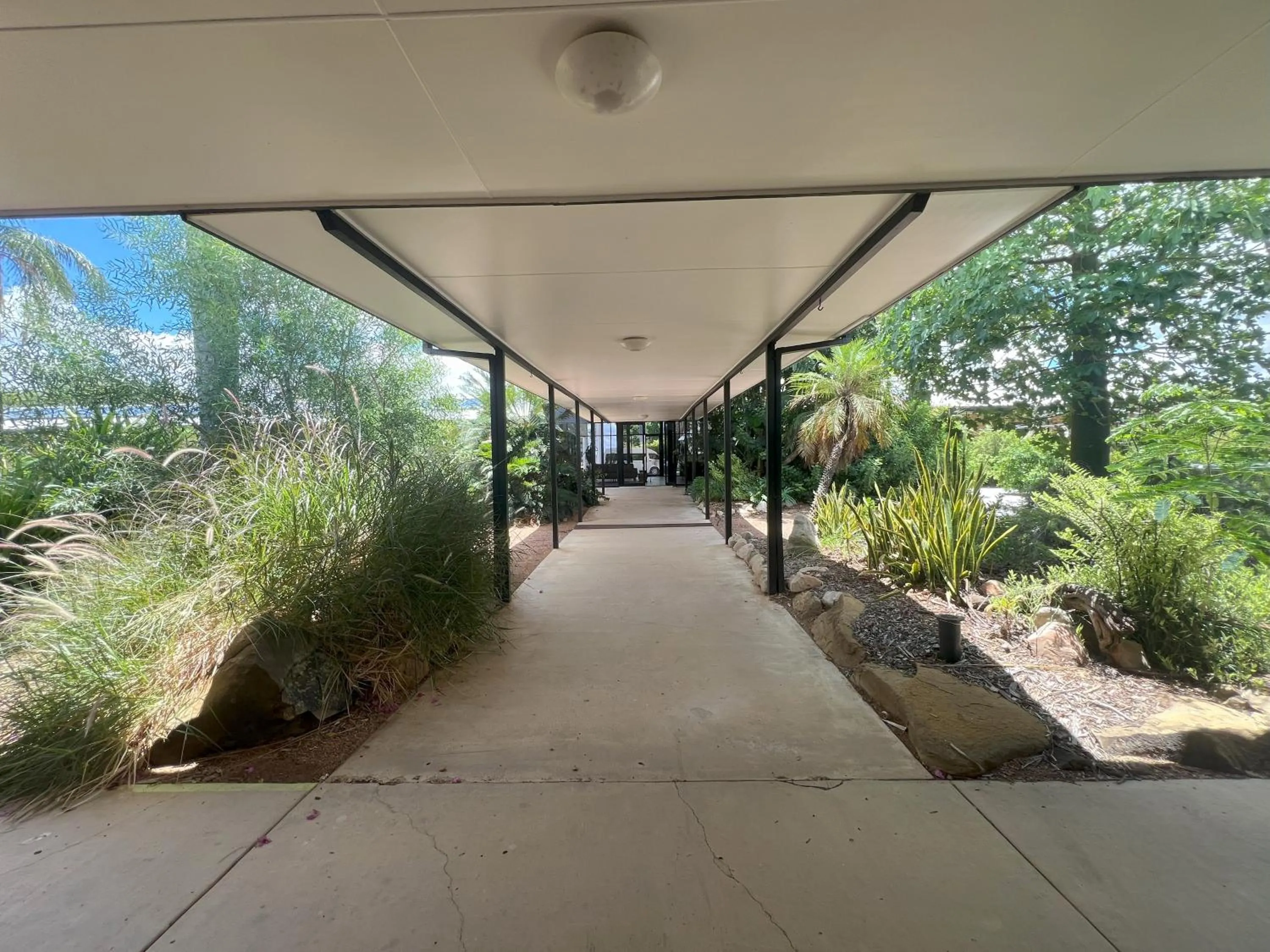 Garden in Albert Park Motor Inn