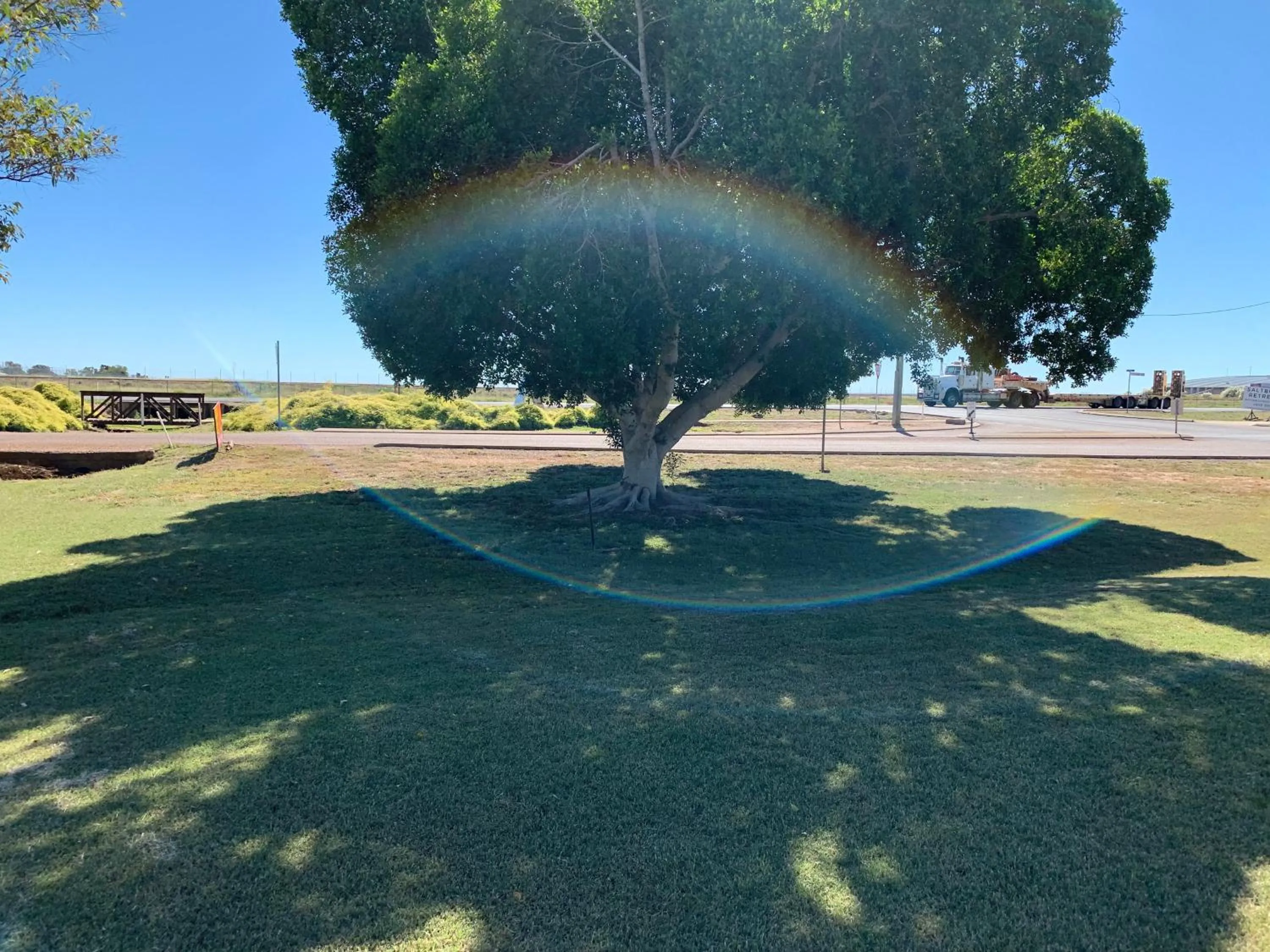 Garden in Albert Park Motor Inn