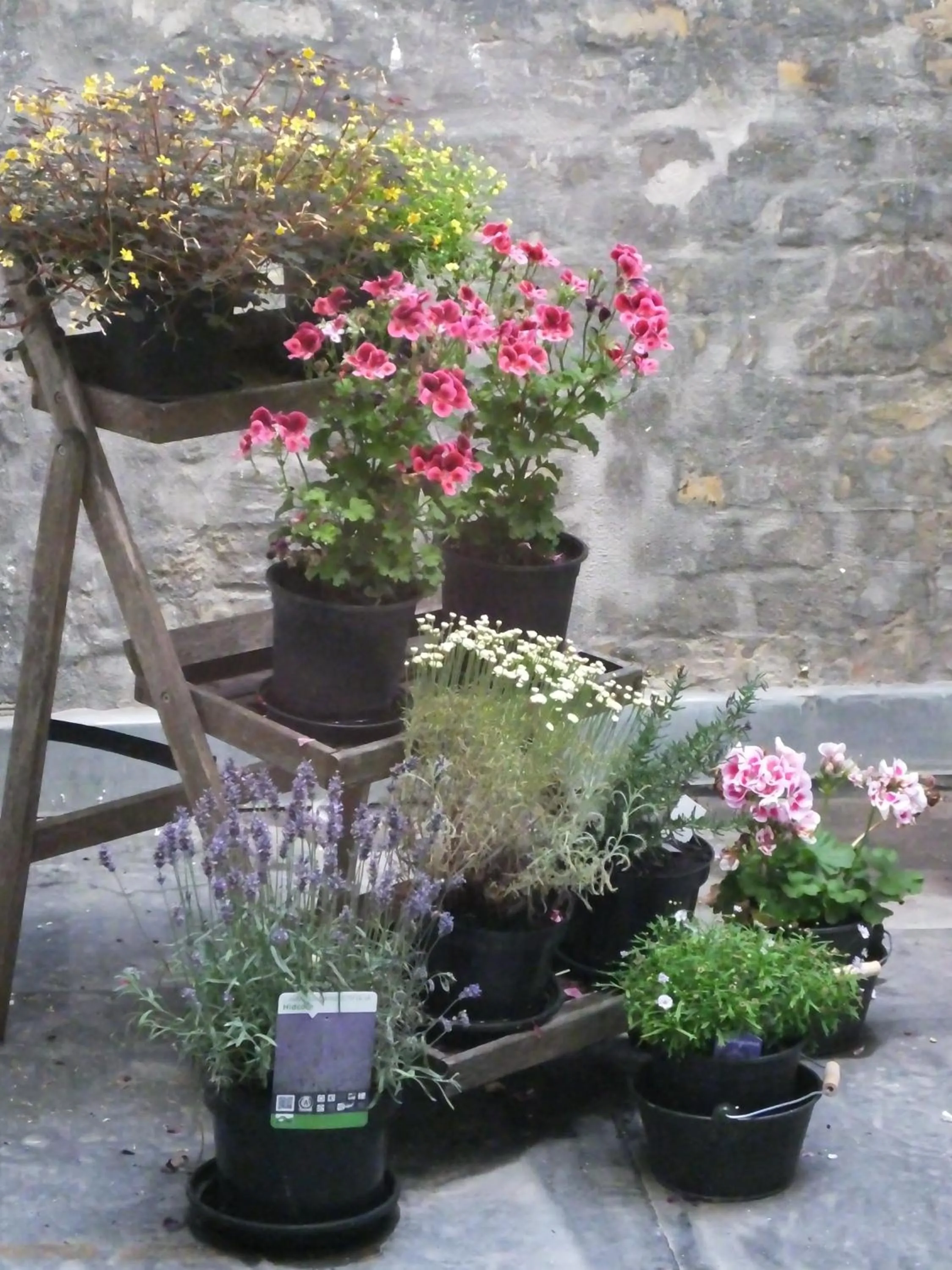 Patio in Hotel Monarc