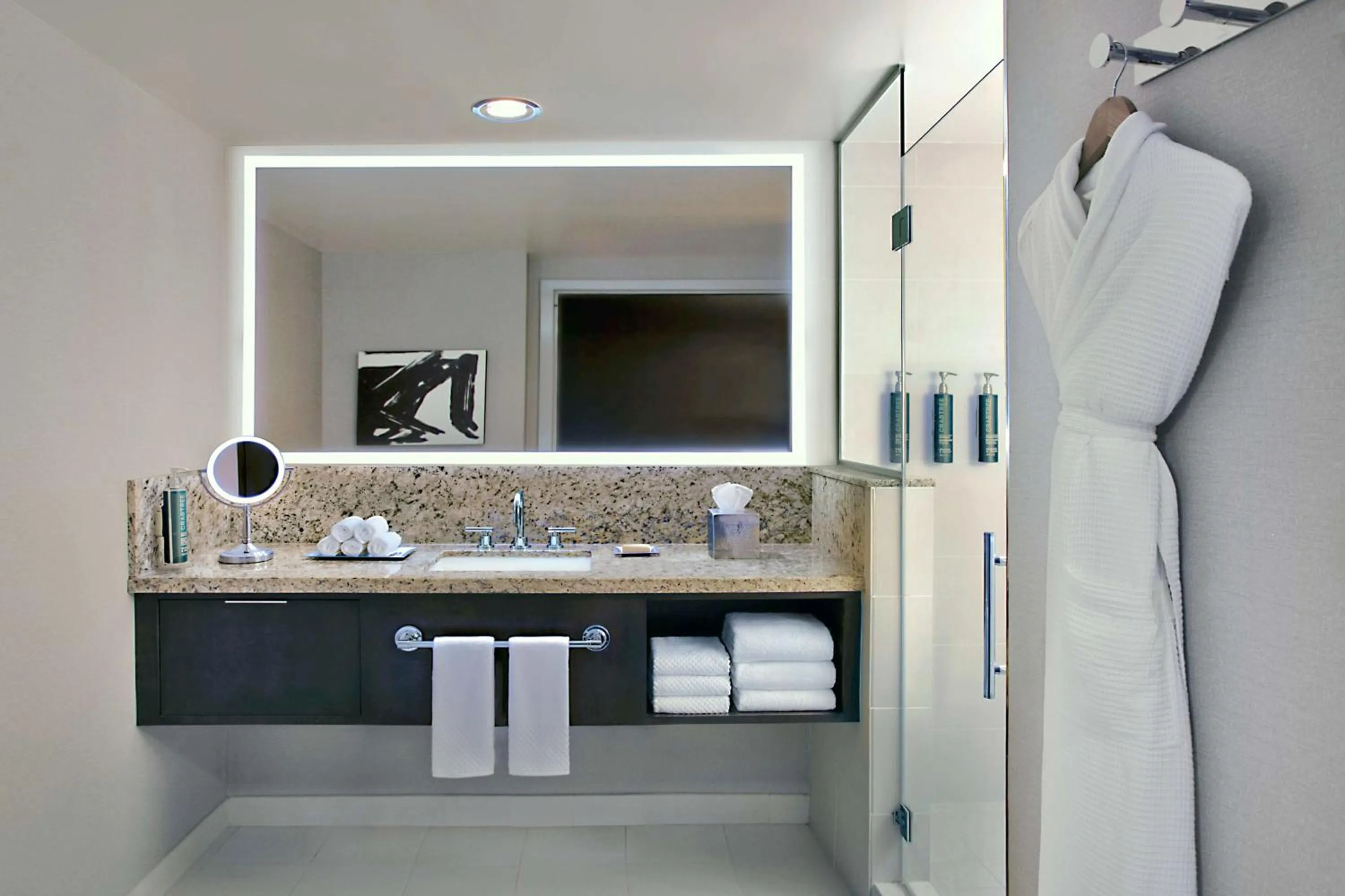 Bathroom in Hilton Omaha