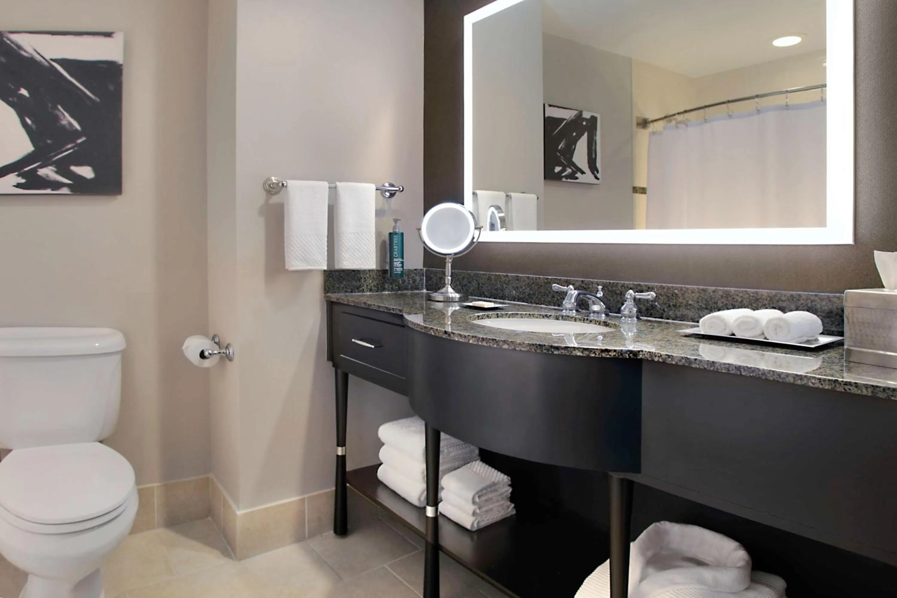 Bathroom in Hilton Omaha