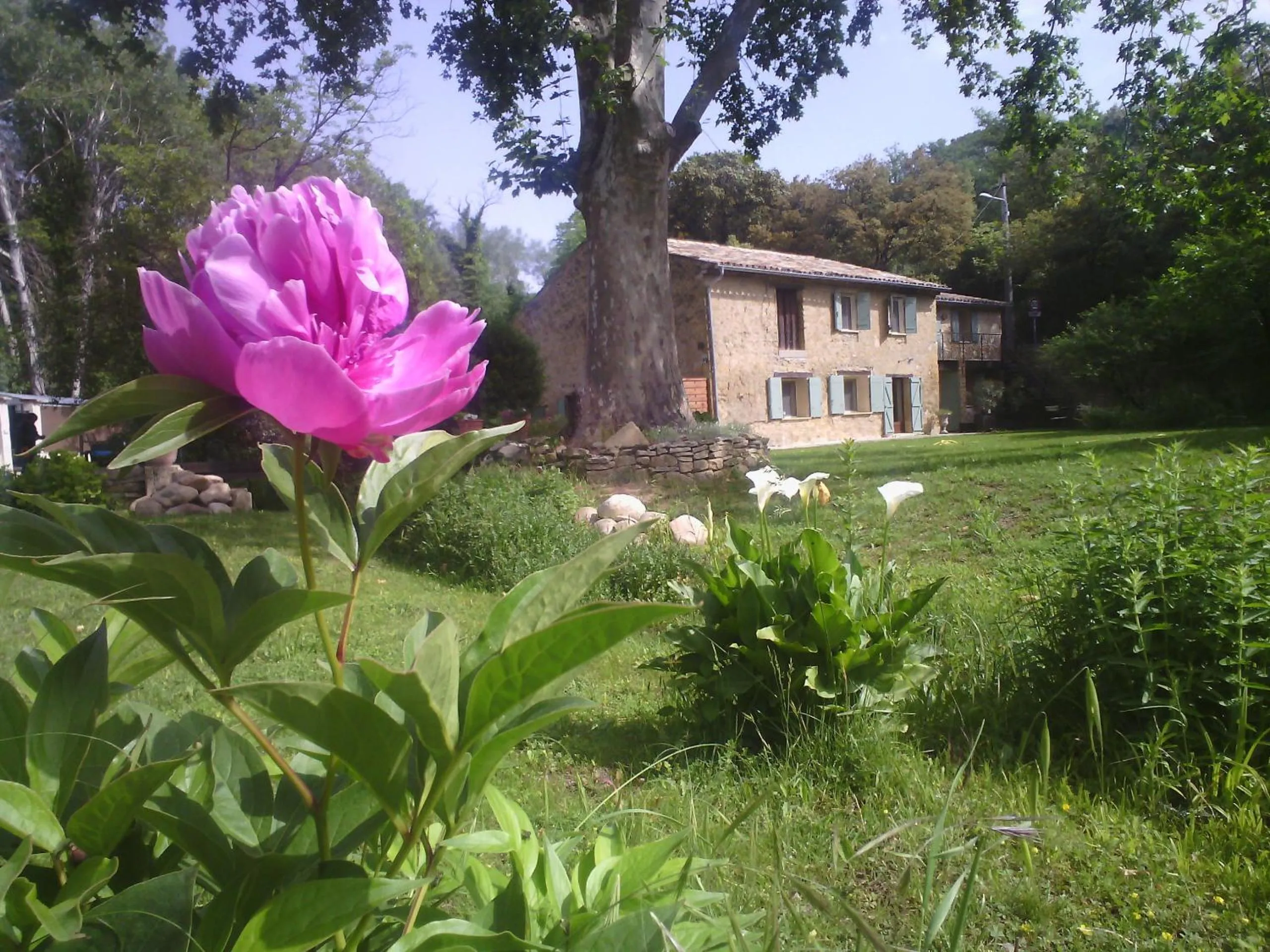 Property building in Le Mas aux Arômes