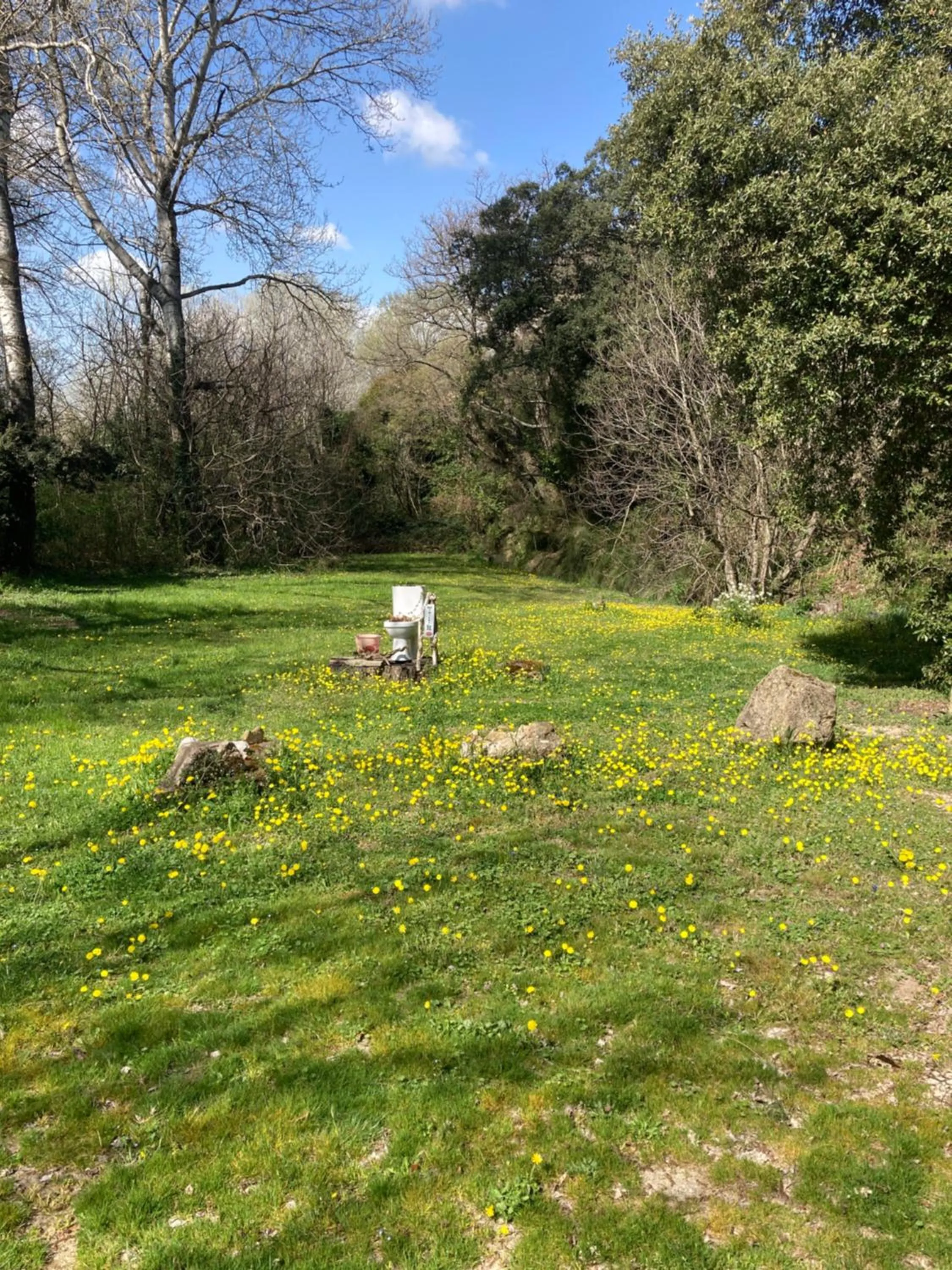 Garden in Le Mas aux Arômes