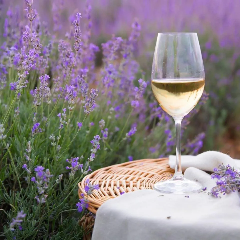 Restaurant/places to eat in Le Mas aux Arômes