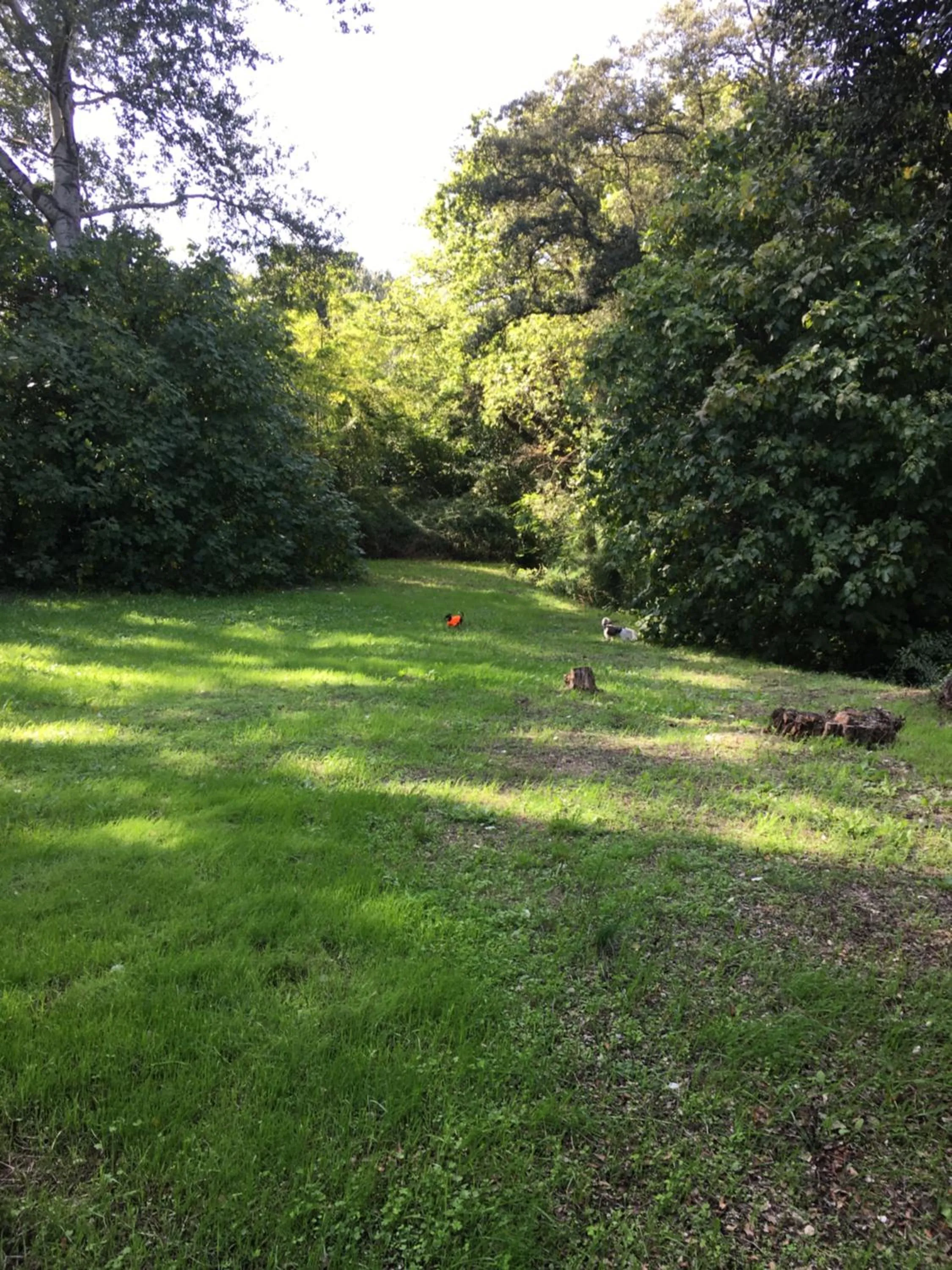 Garden in Le Mas aux Arômes