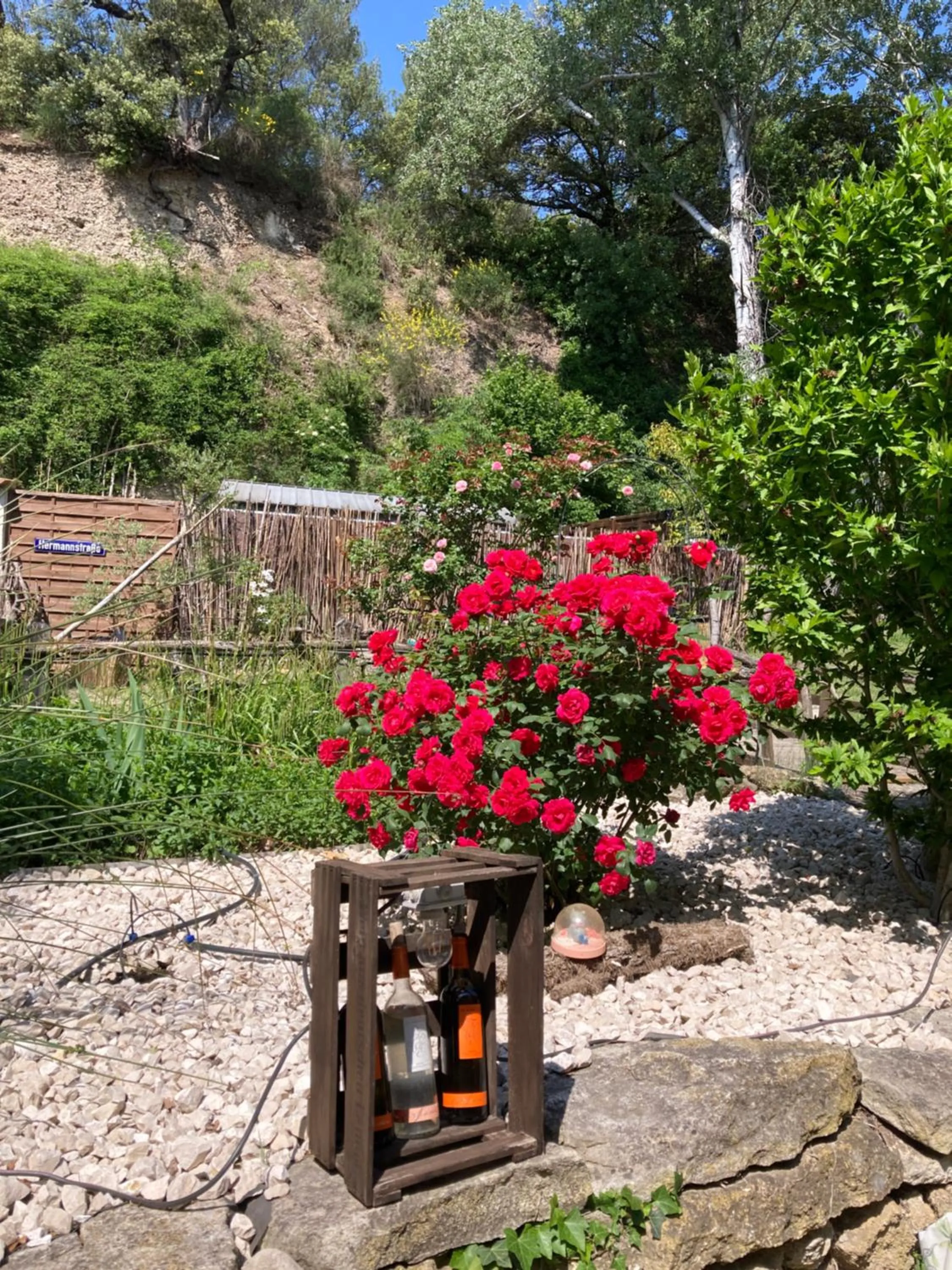Garden view in Le Mas aux Arômes