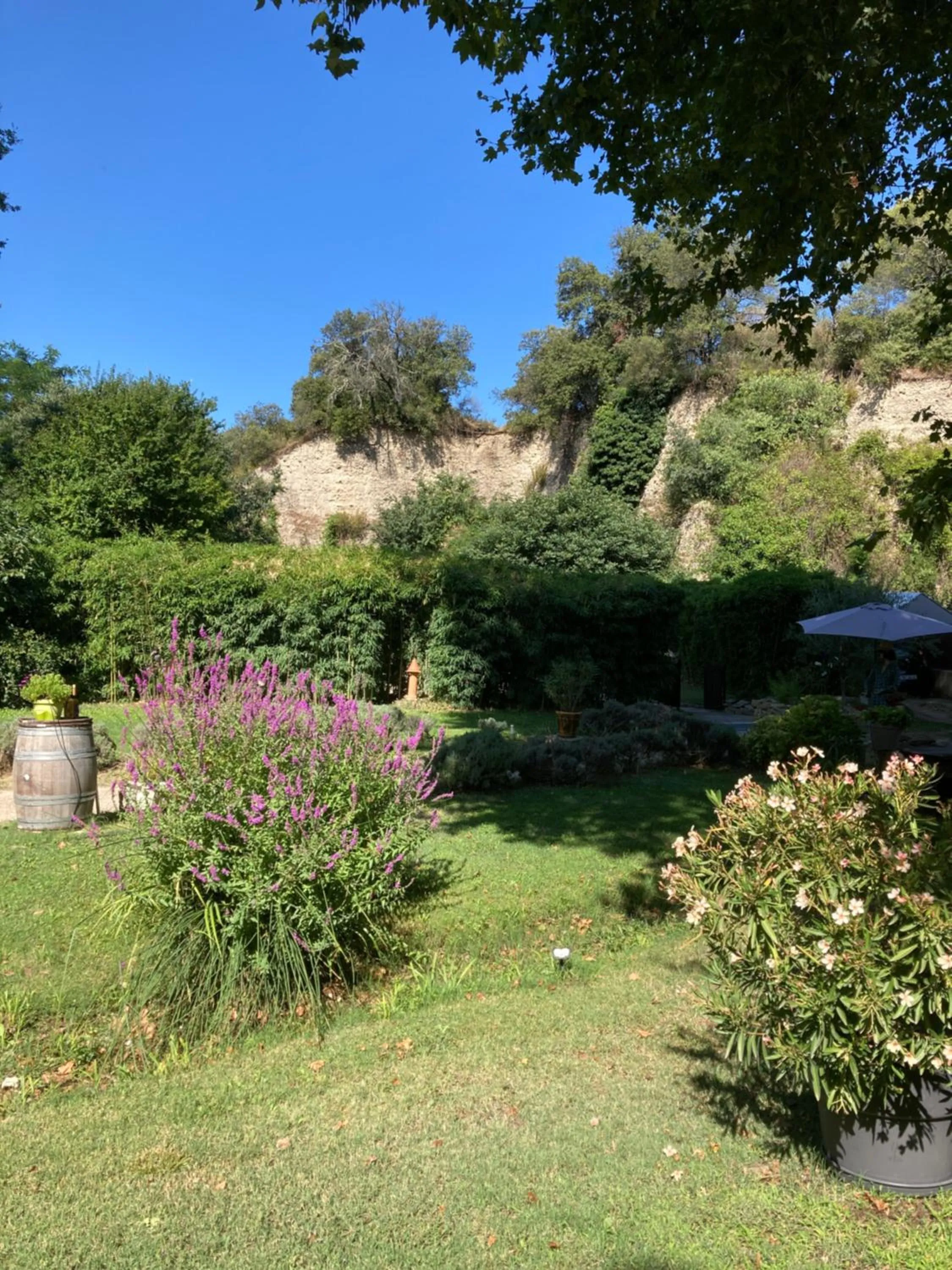 Garden view in Le Mas aux Arômes