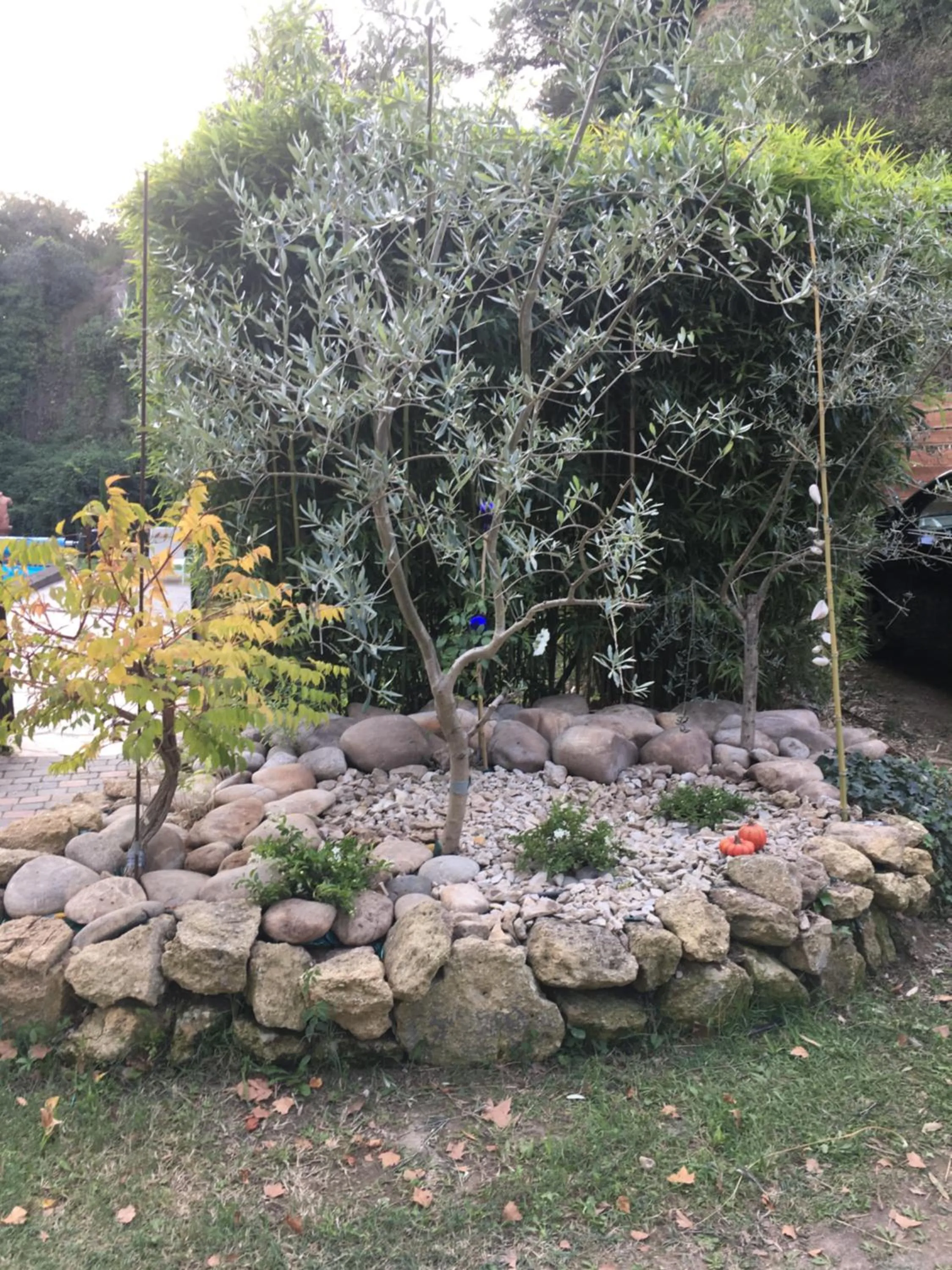 Garden in Le Mas aux Arômes