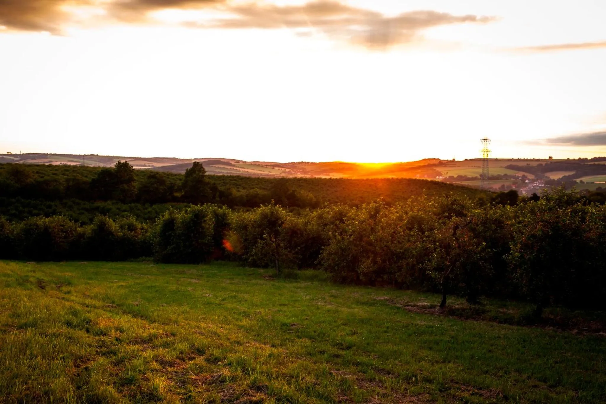 Natural landscape in Landhotel Rosenschänke