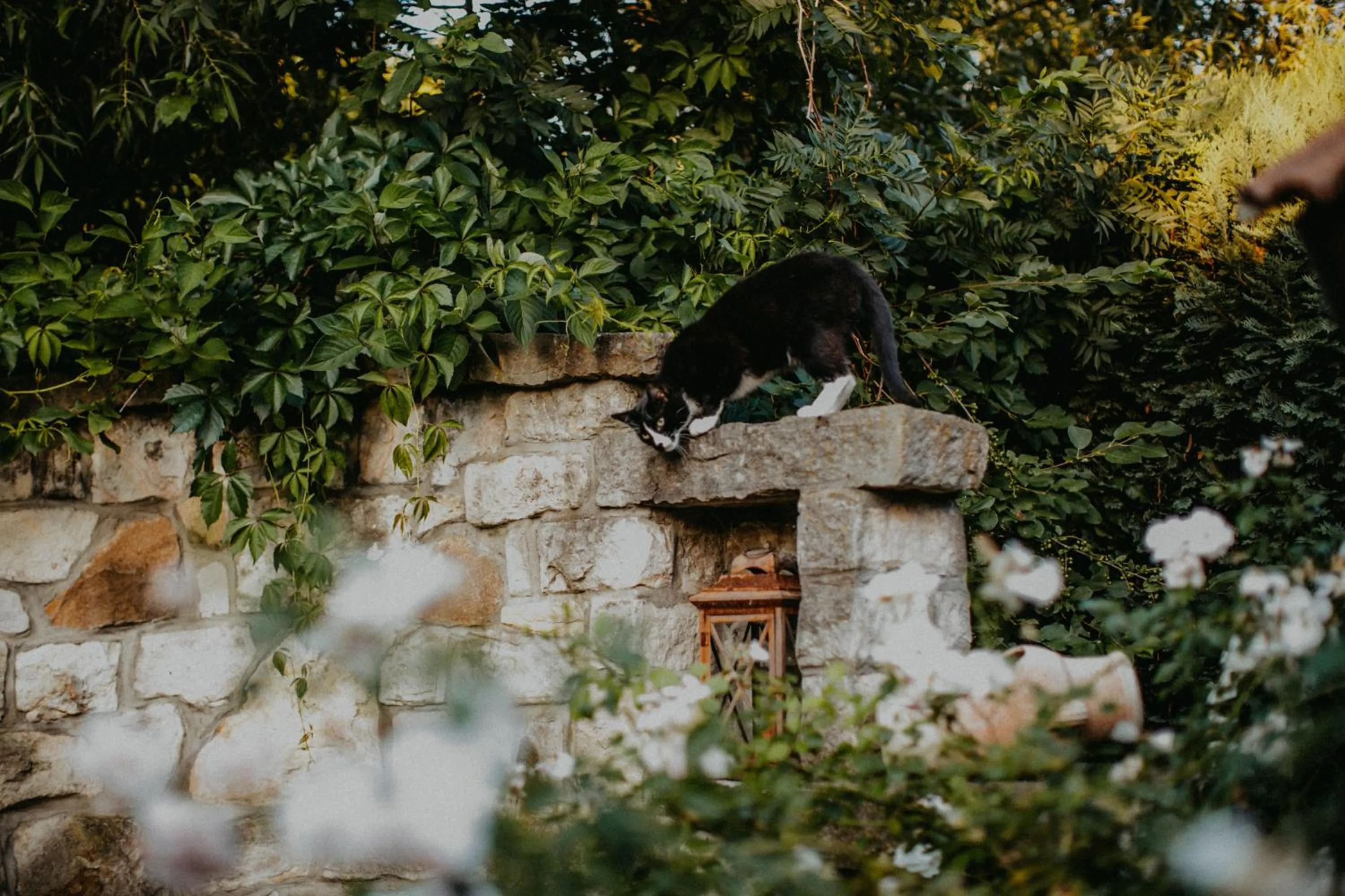 Garden in Landhotel Rosenschänke