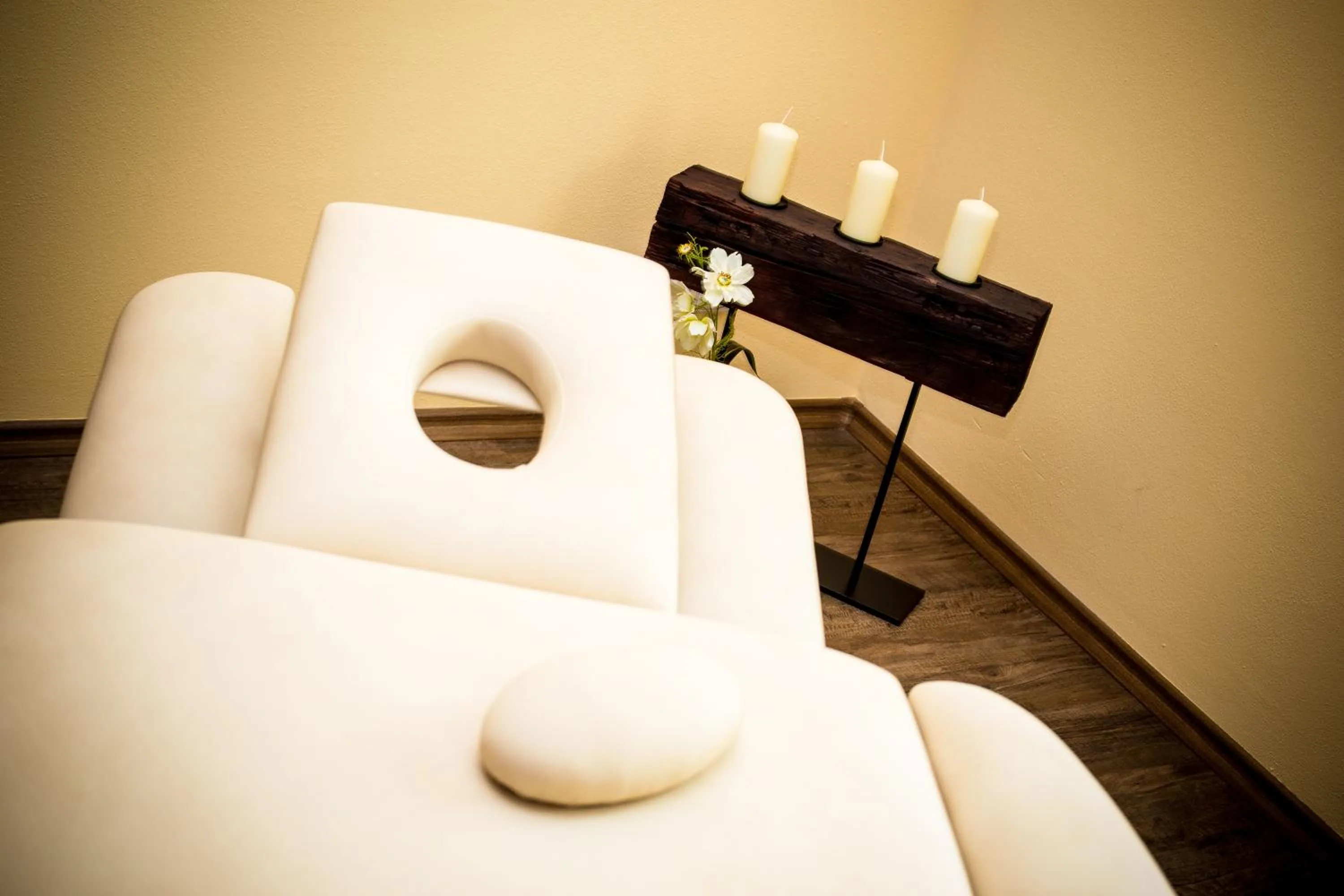 Massage in Garni Hotel Třeboň