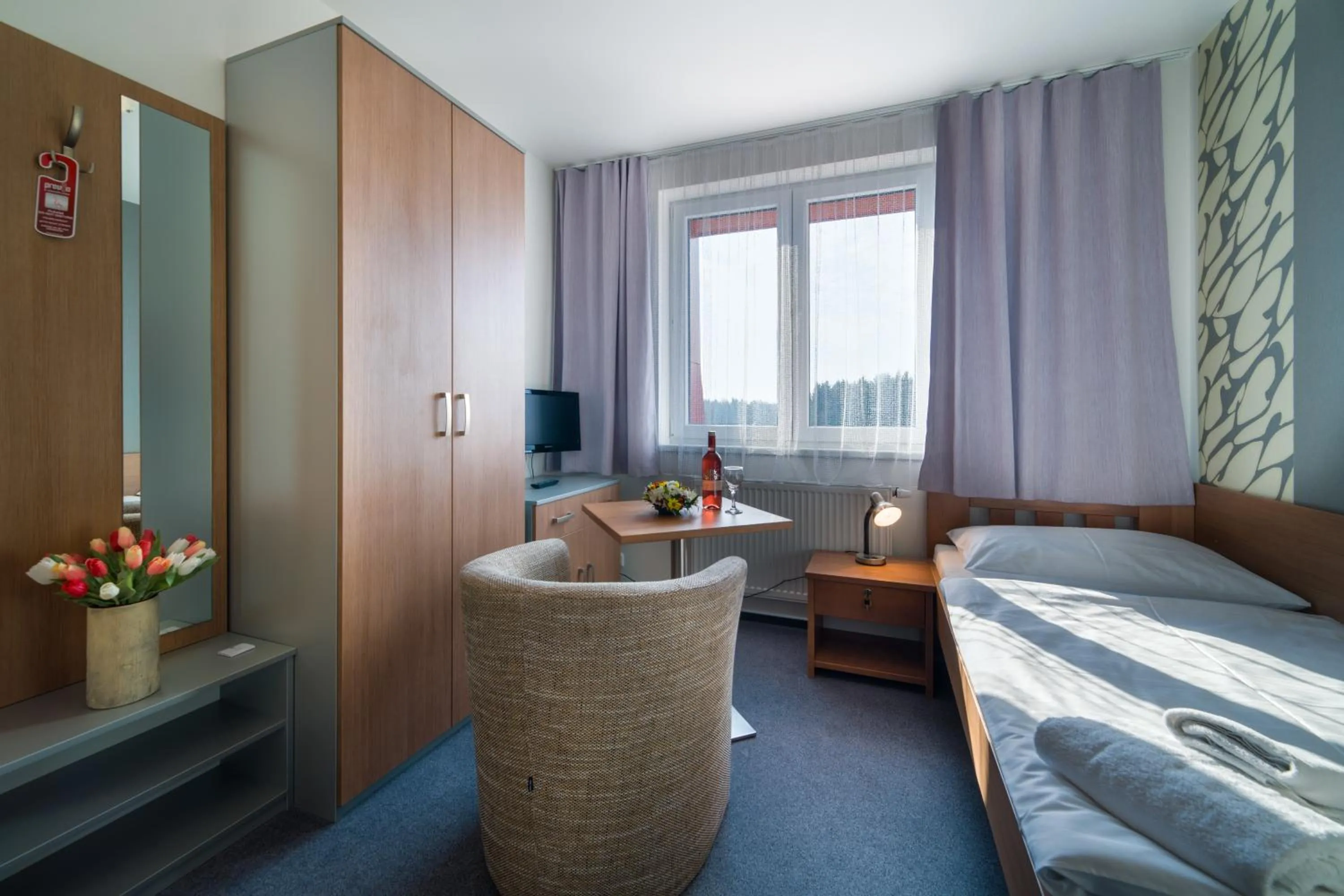 TV and multimedia in Garni Hotel Třeboň