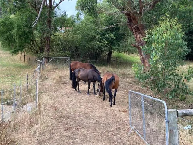 Rosewood Park Guest Suite
