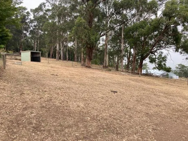 Rosewood Park Guest Suite
