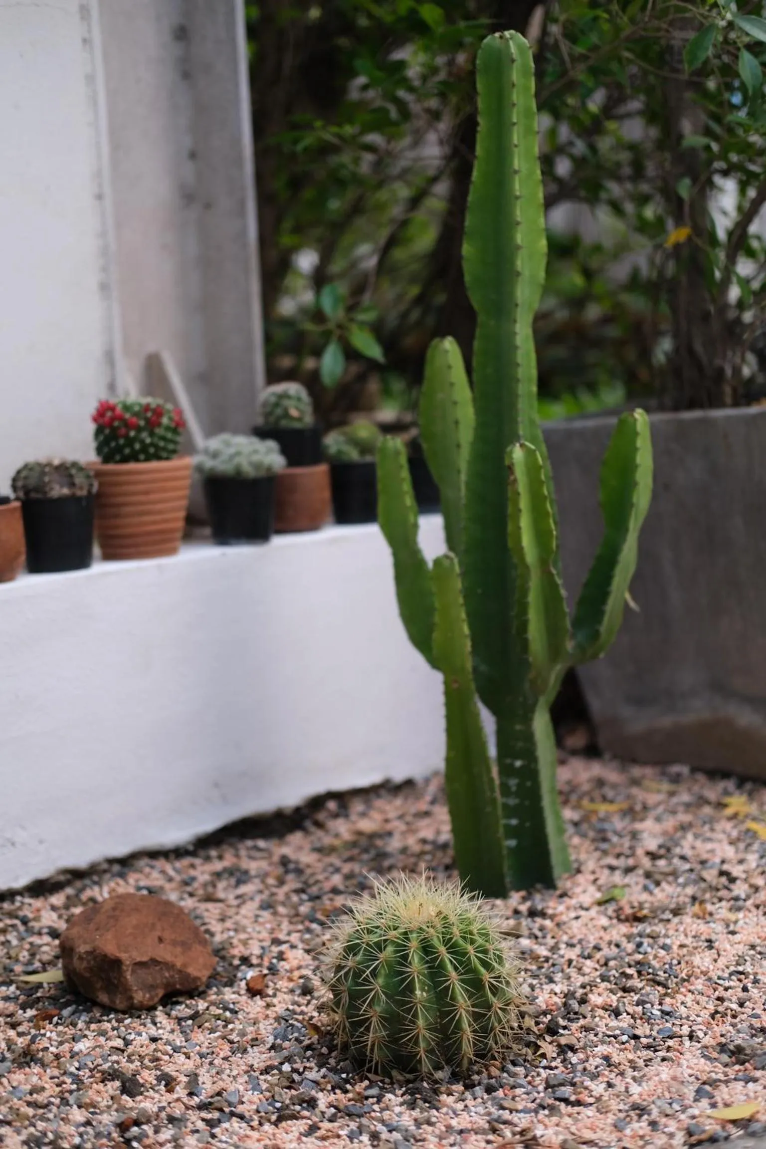 @Home Hostel Wua Lai