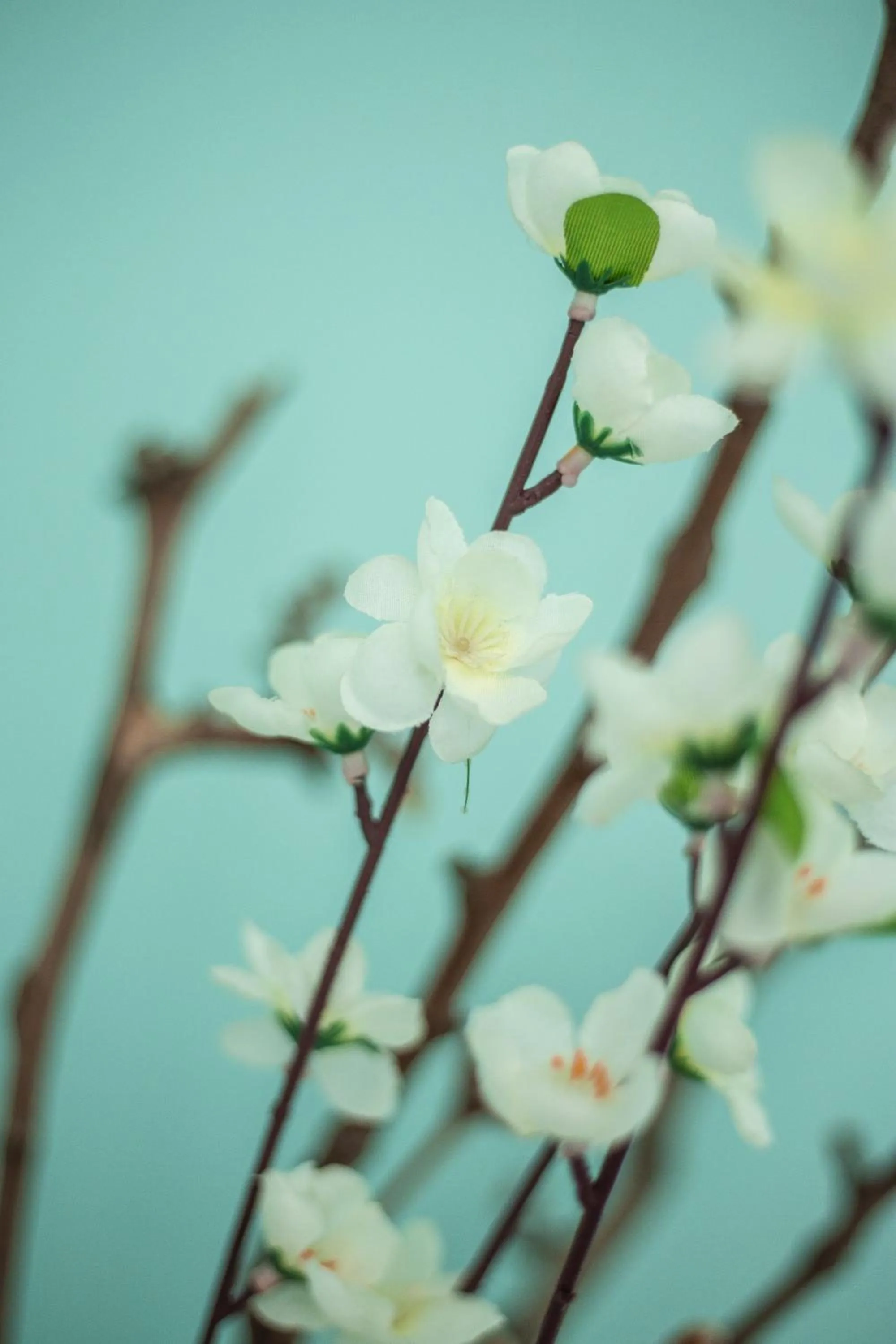 Decorative detail in B&B La Residenza di Michelangelo