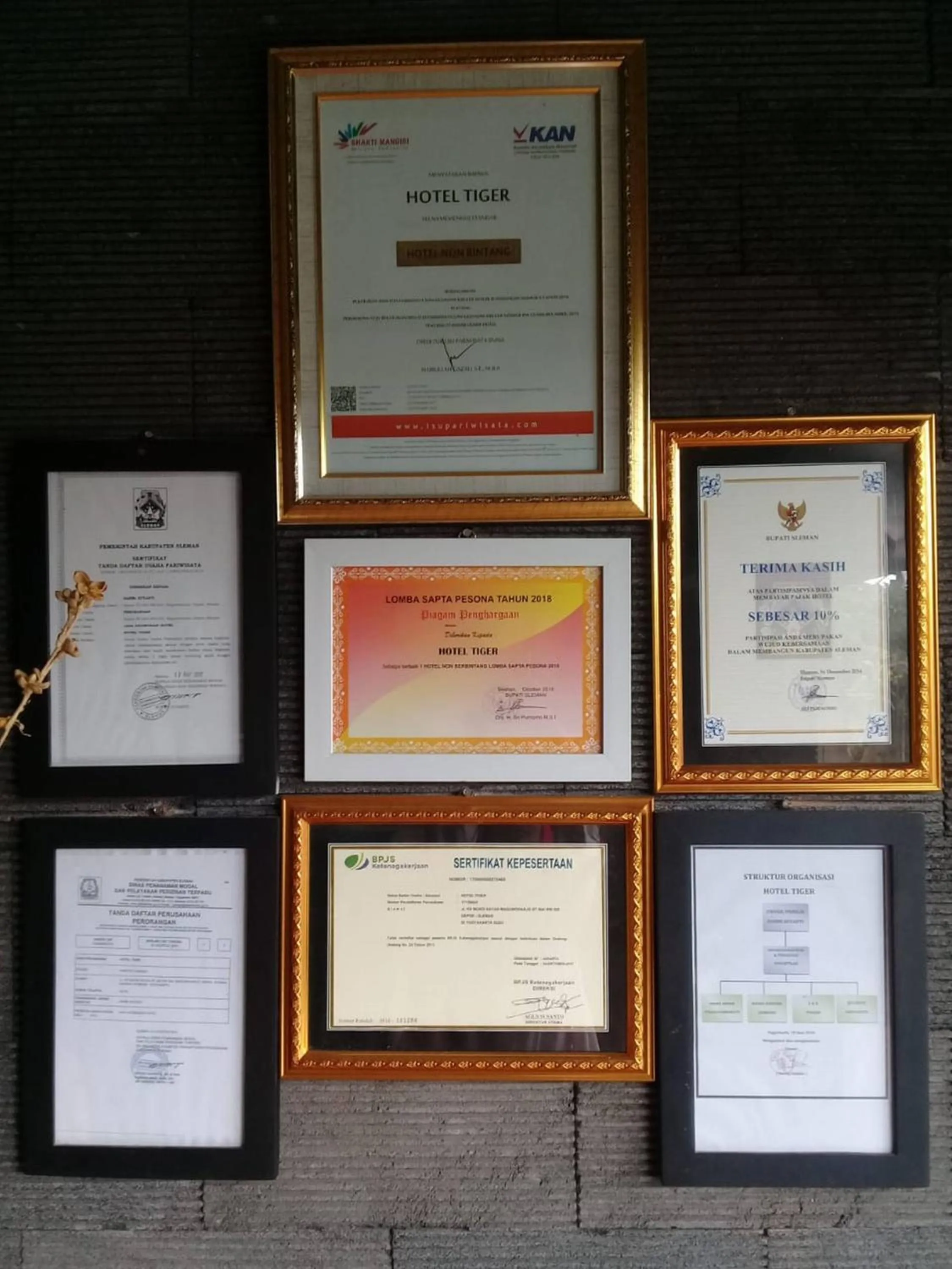 Certificate/Award in Hotel Tiger