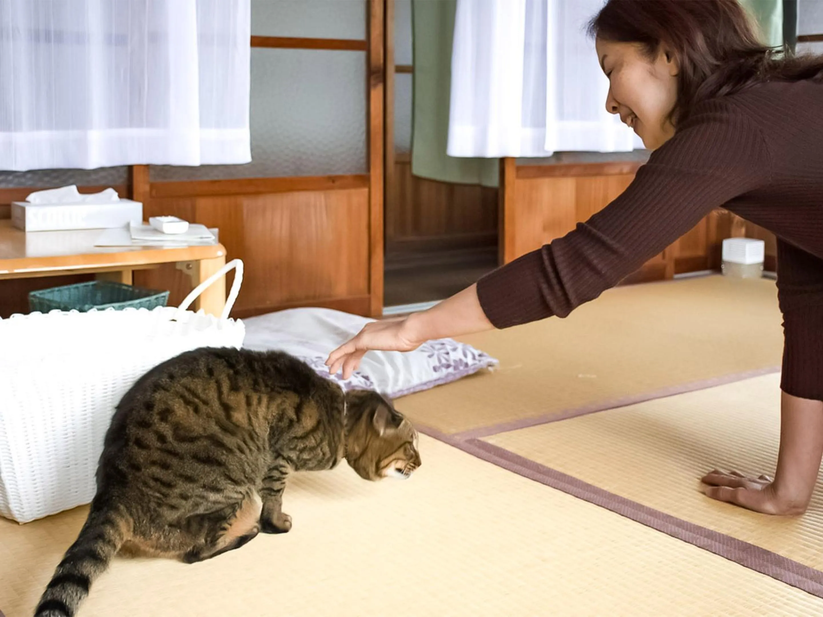 Pets in Guest Cafe Kuchikumano