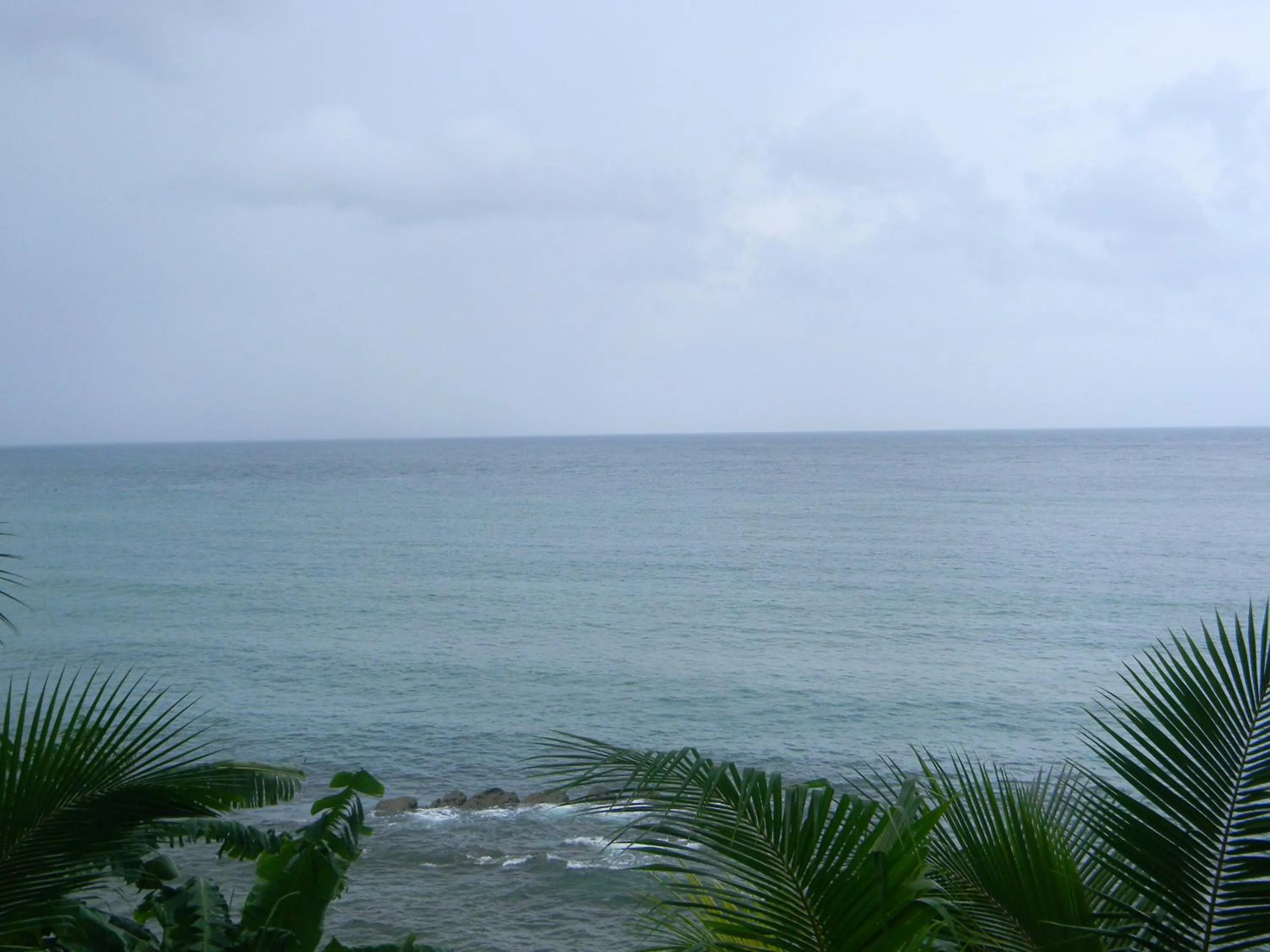 Day in Sinclairs Bayview