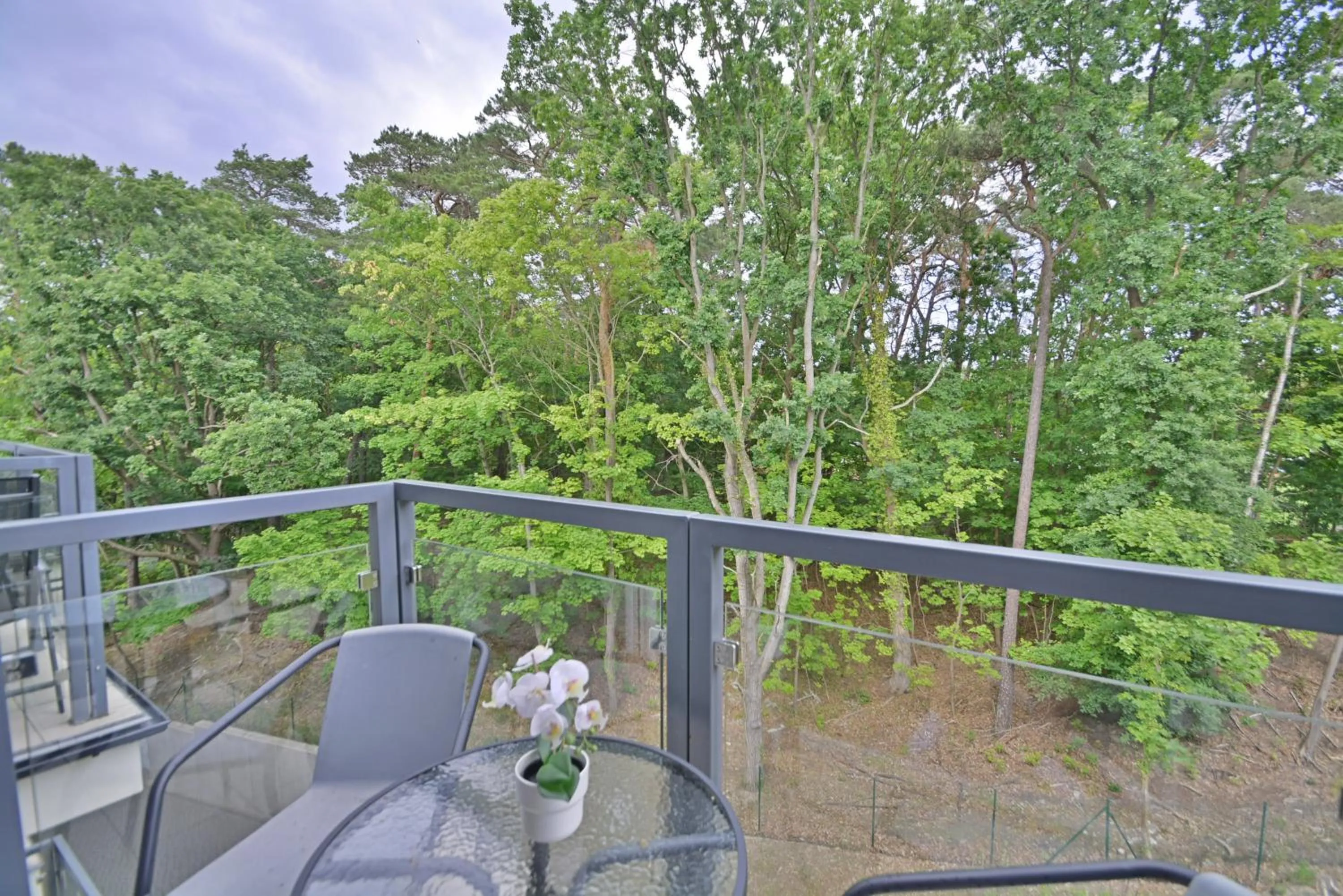 Natural landscape in Osiedle Cesarskie Apartamenty - Parking - Apartamenty Bryza