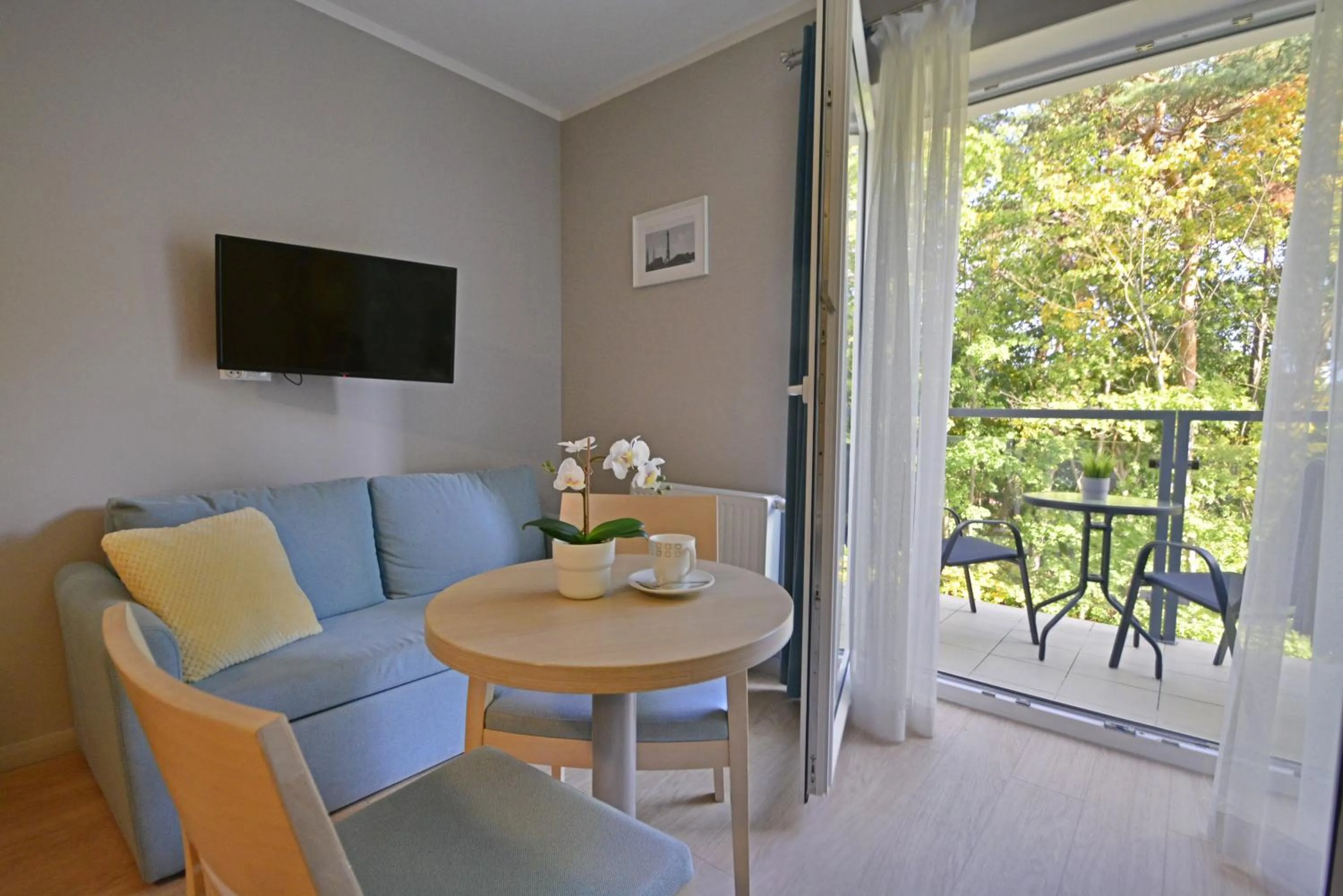 Living room in Osiedle Cesarskie Apartamenty - Parking - Apartamenty Bryza