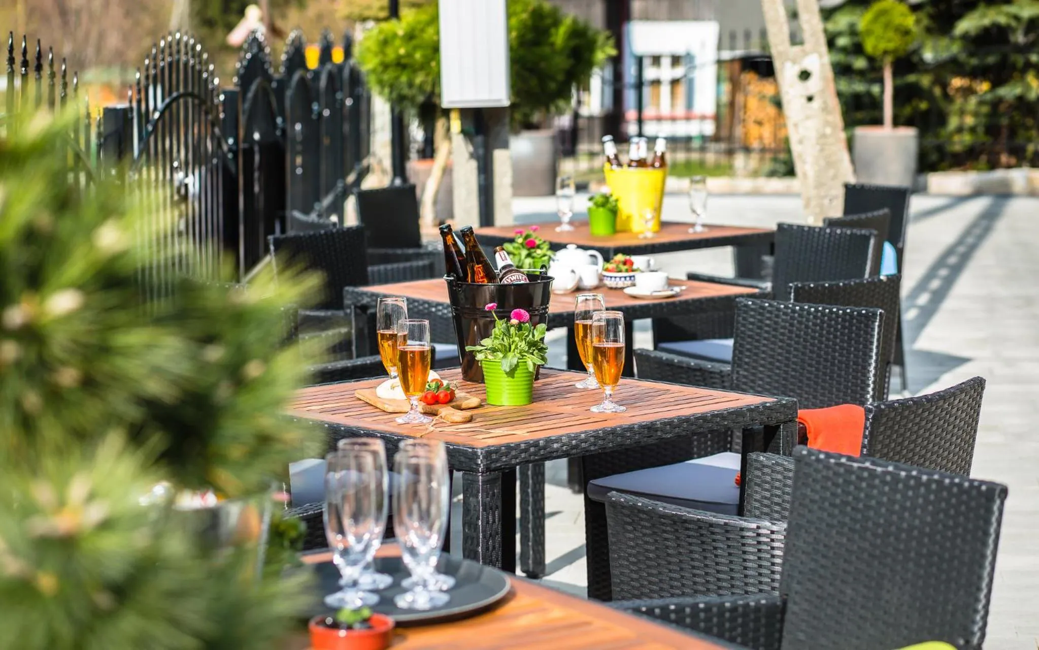 Spring in Jagniatkowa Koliba