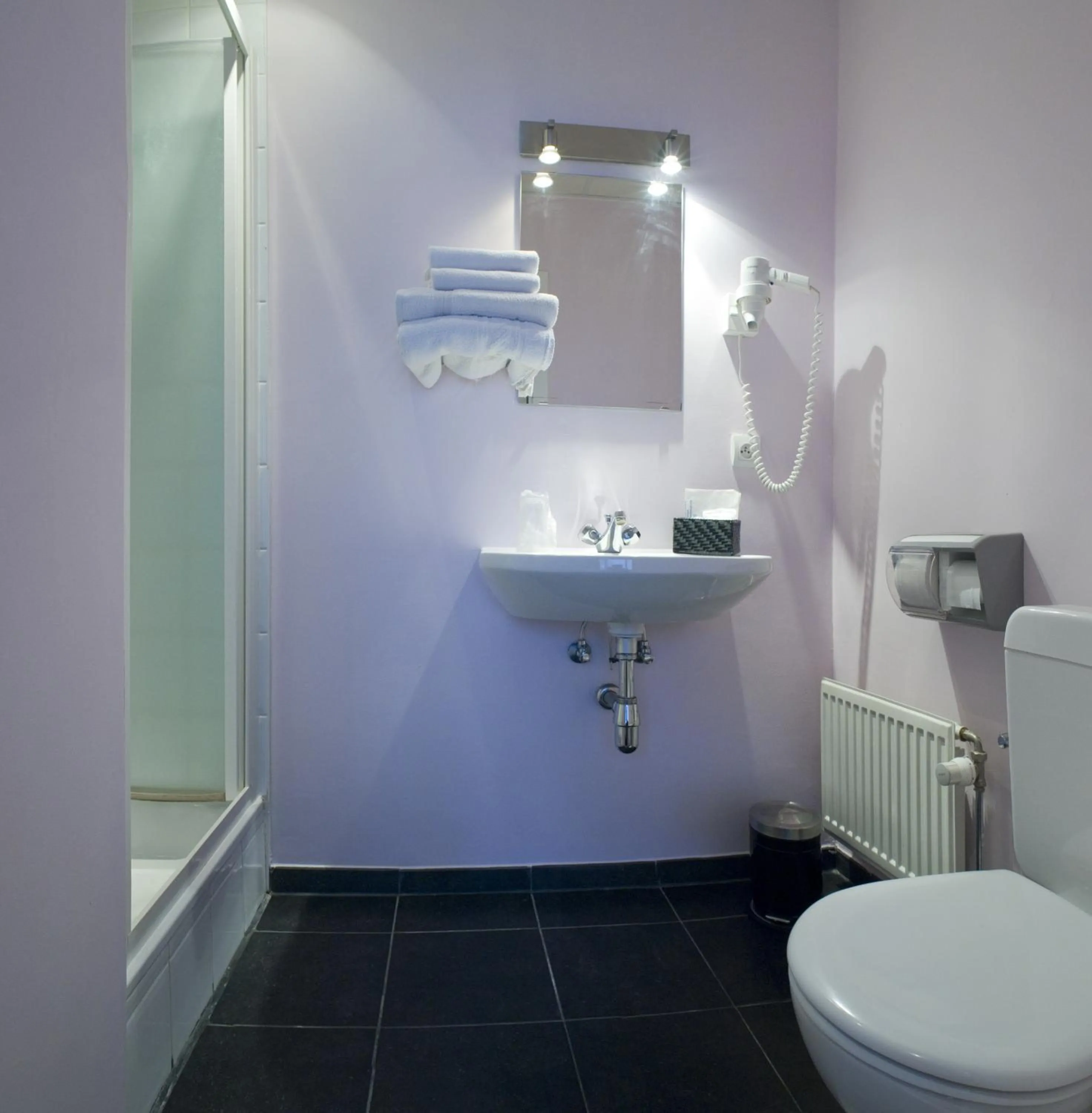 Bathroom in Alpha Hotel