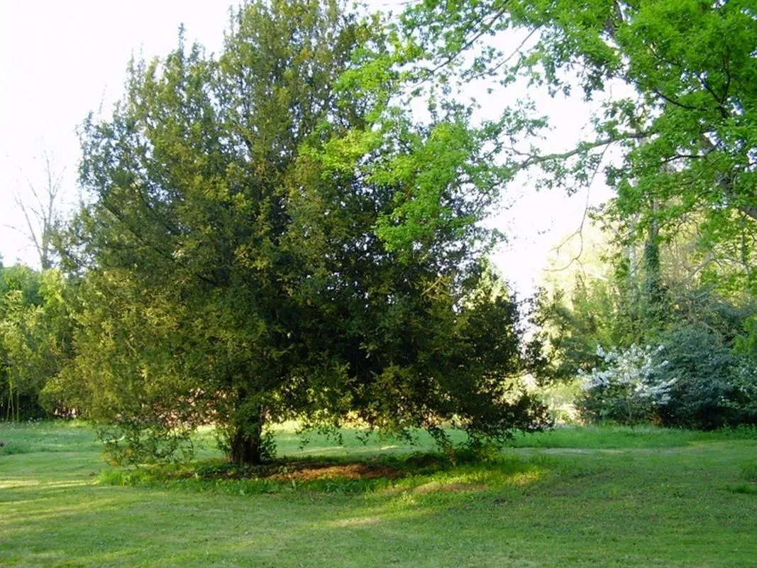 Chambres d'hôtes Le Pont Romain