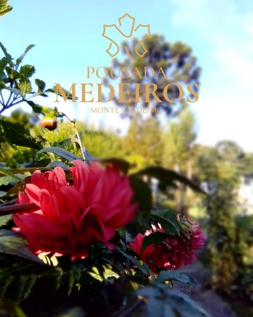 Pousada Medeiros