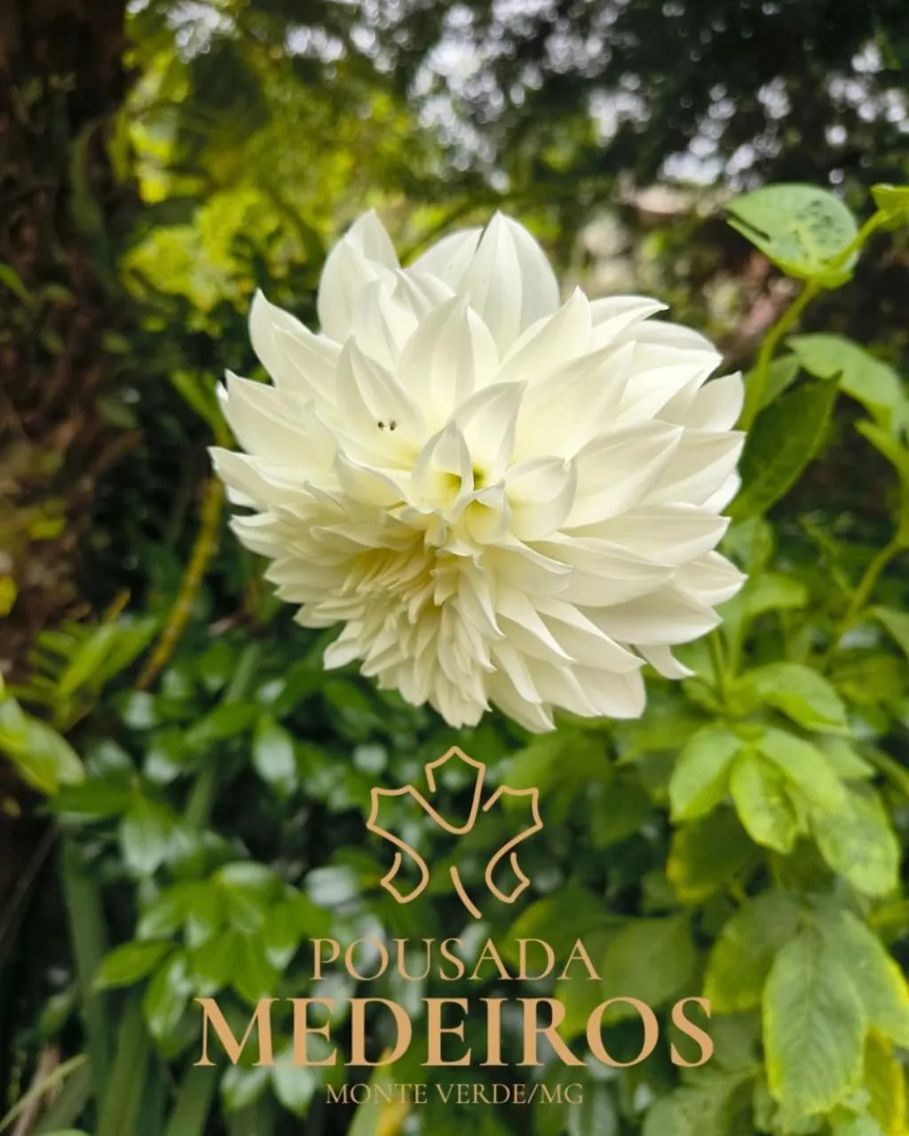Pousada Medeiros
