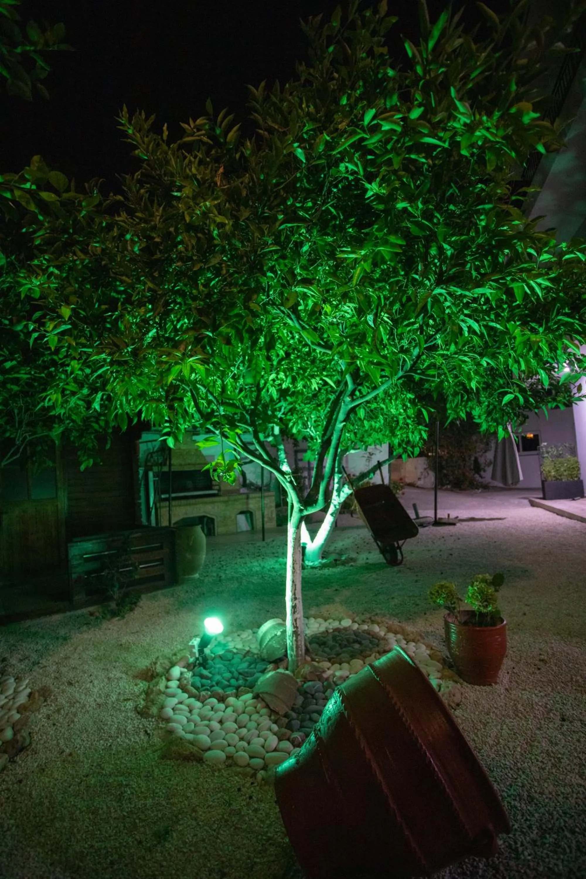 Spring in Star Hotel