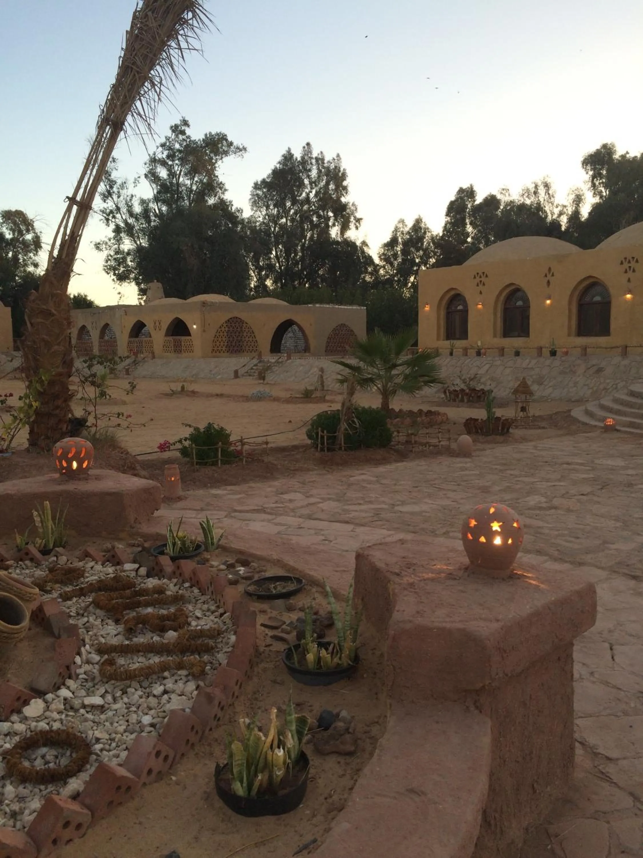 Natural landscape in Shanda Lodge Desert Resort