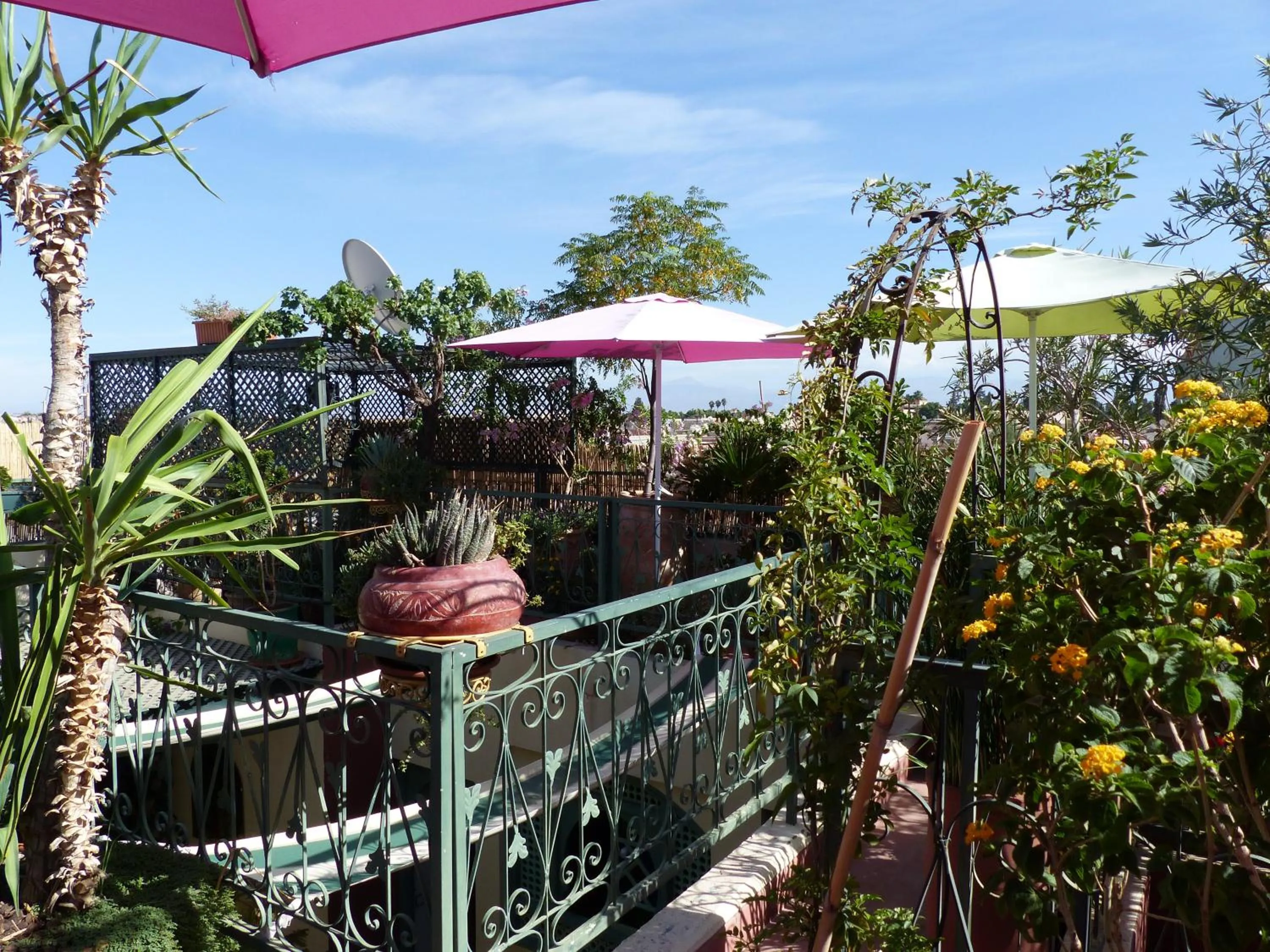 Balcony/Terrace in Riad Cherihane