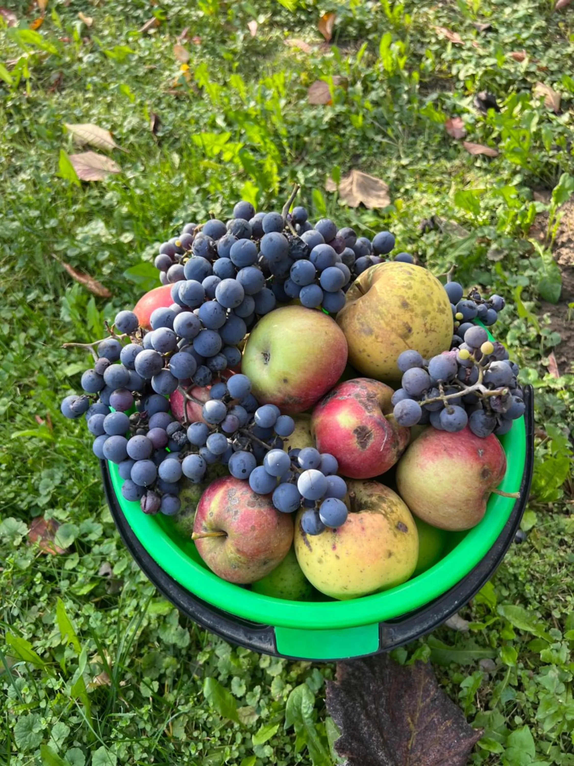 Garden in Hotel Complex Bahus