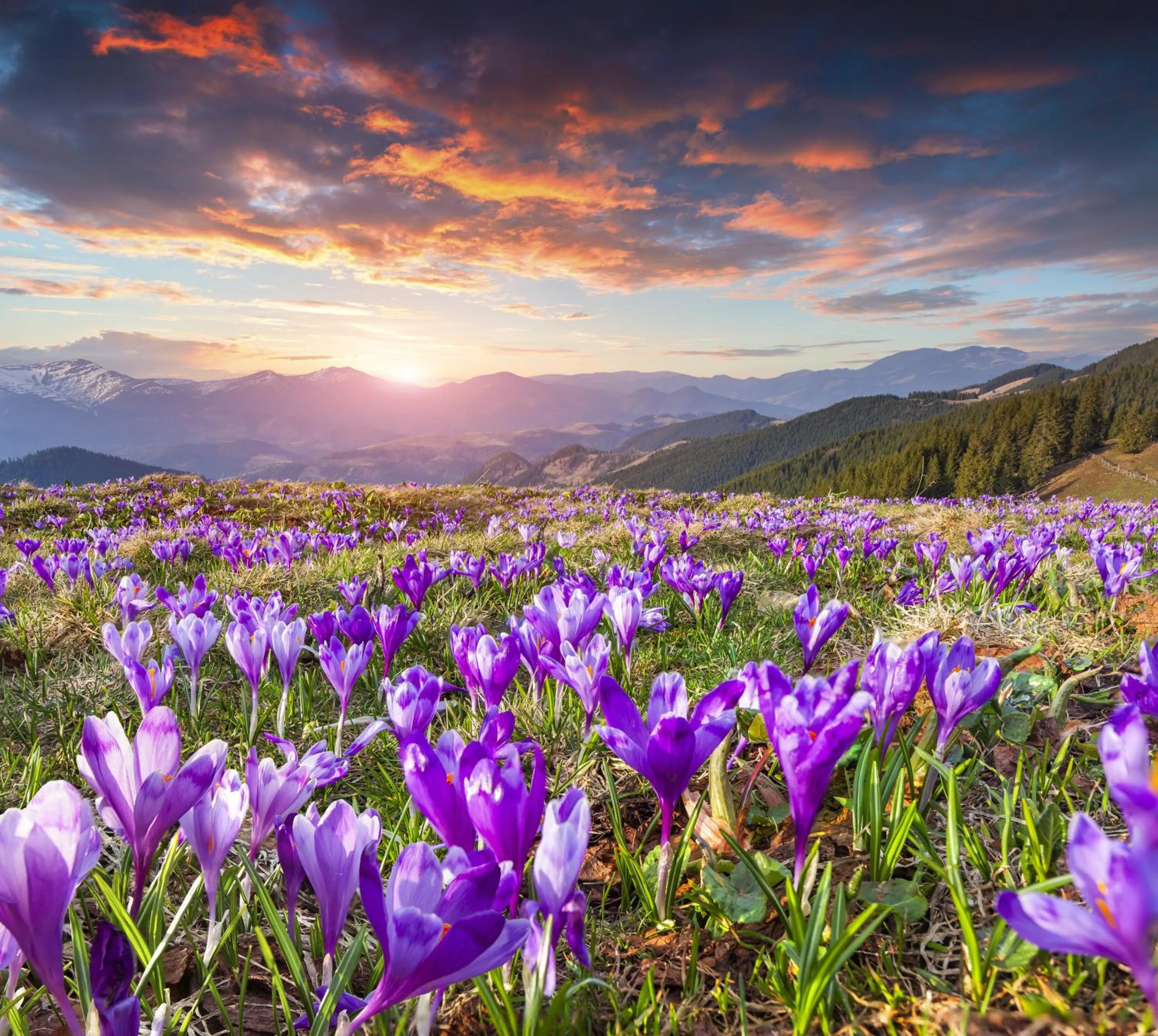Natural landscape in Osada Kościelisko - Tatry na Wyciągnięcie Ręki