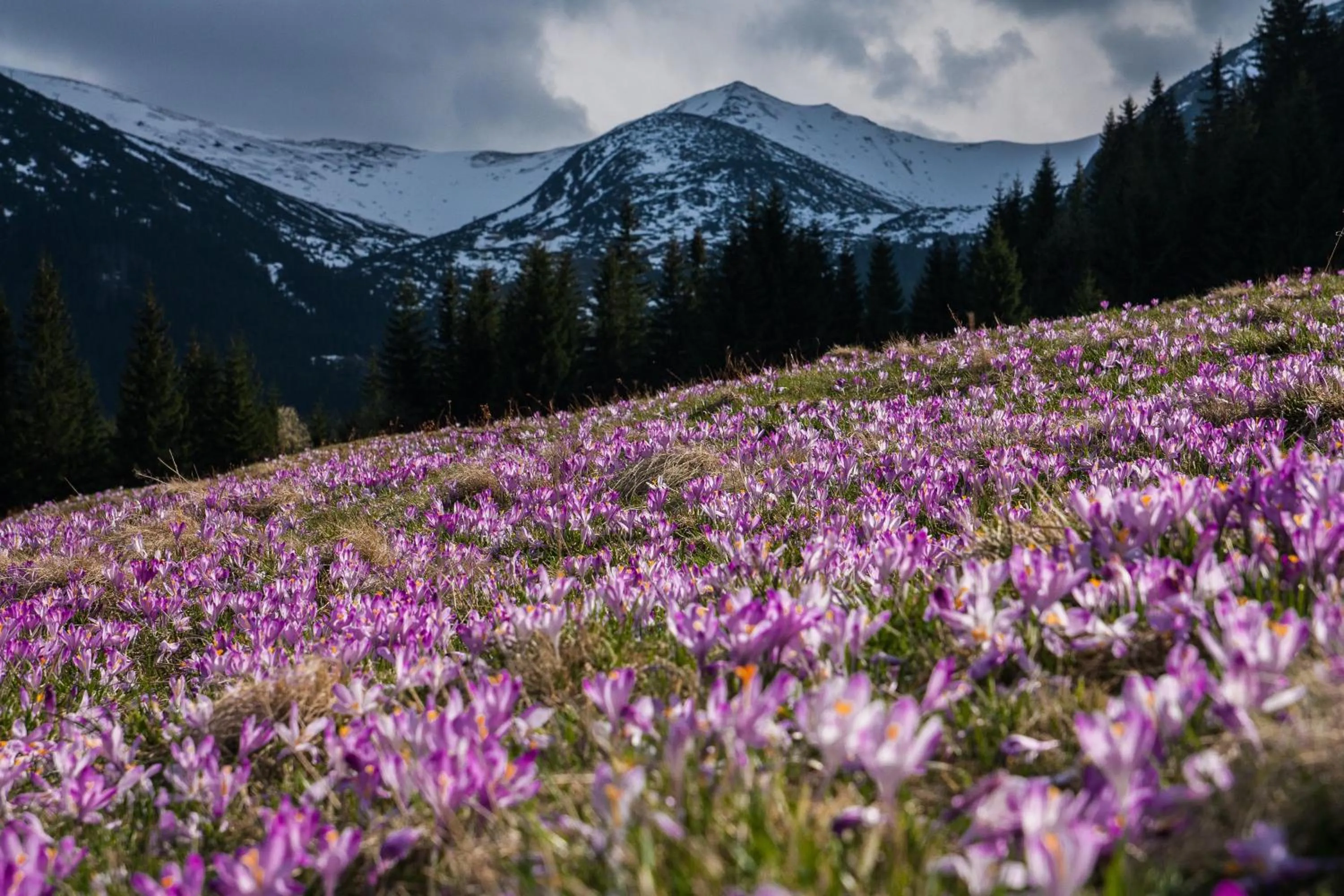 Nearby landmark in Osada Kościelisko - Tatry na Wyciągnięcie Ręki