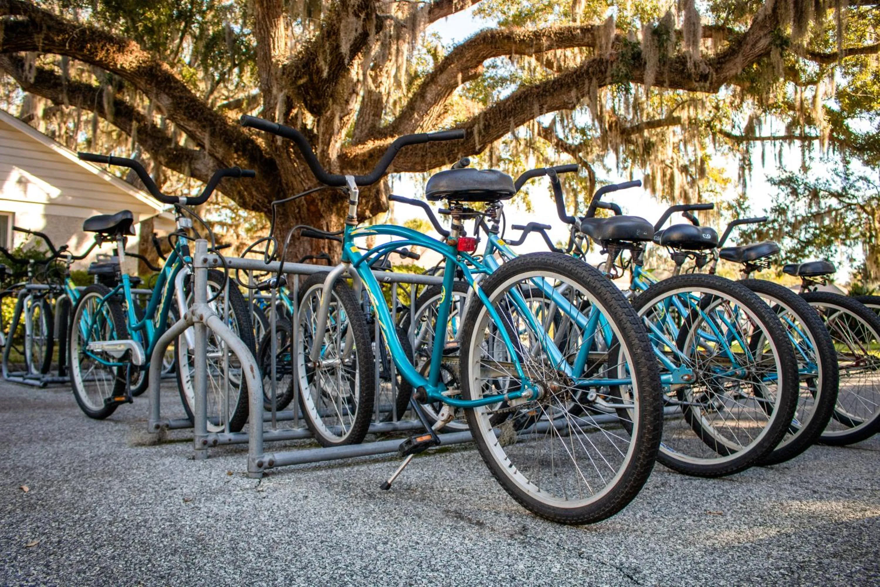 Cycling in Epworth By The Sea