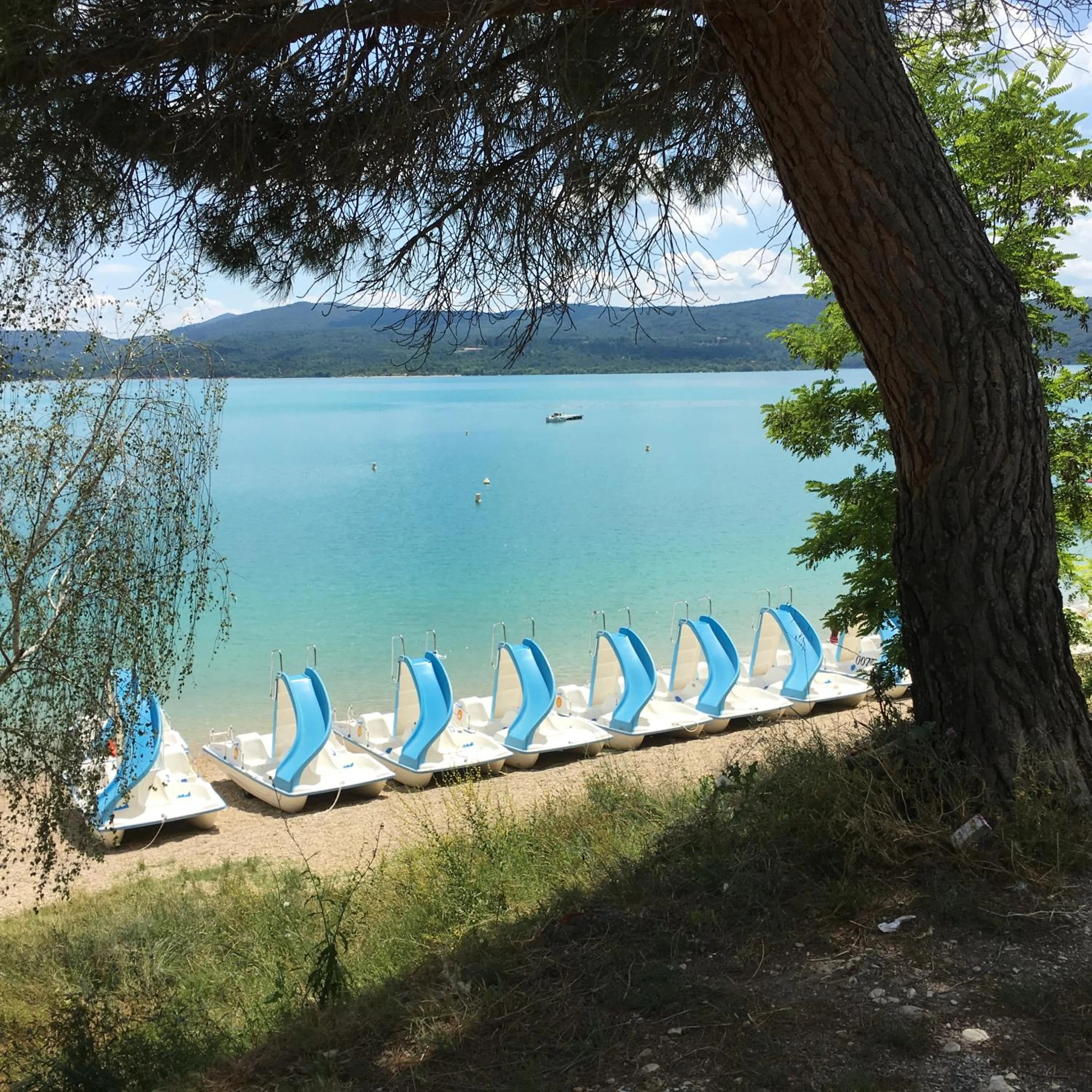 Activities in L' Esmerand