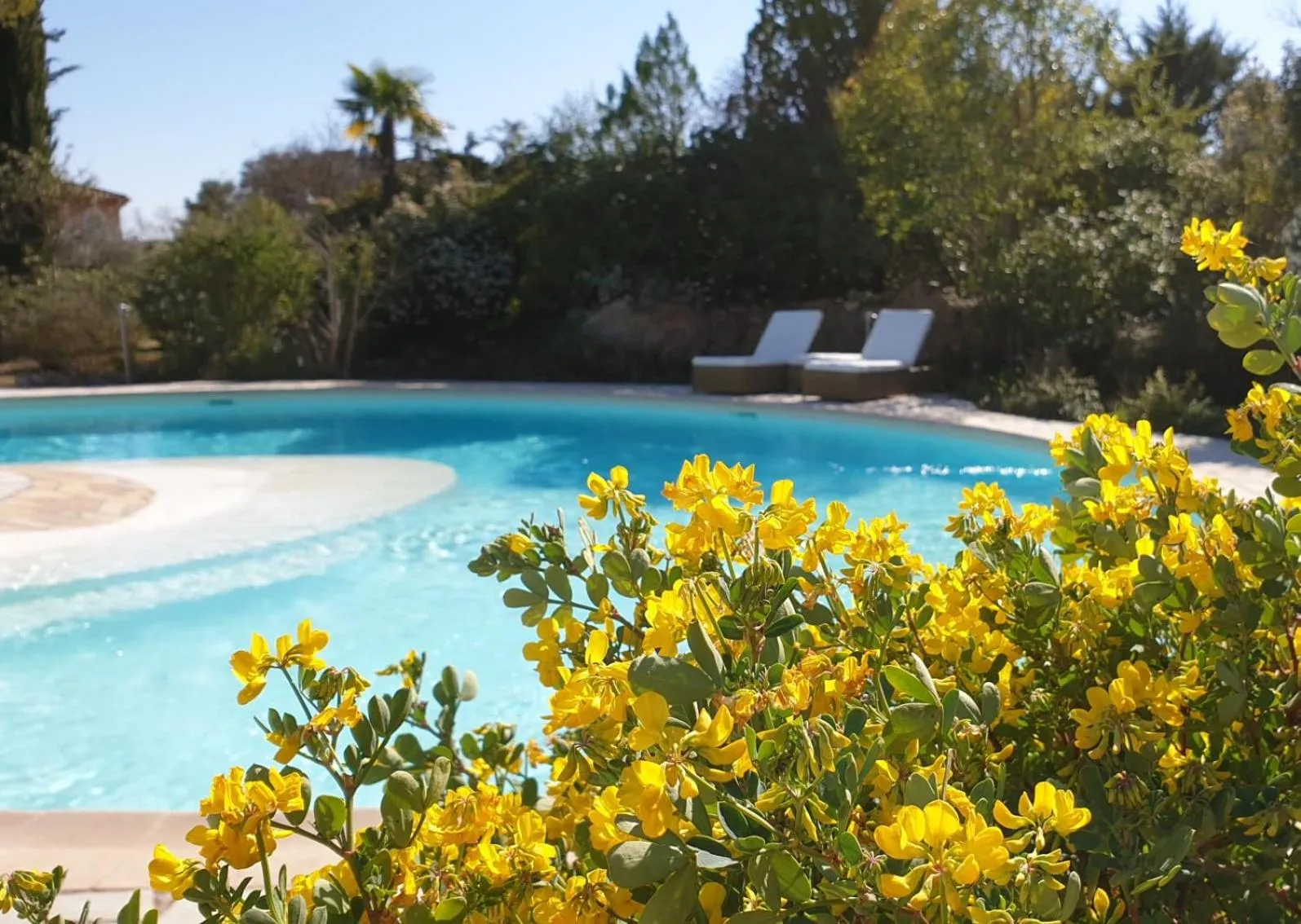 Pool view in L' Esmerand
