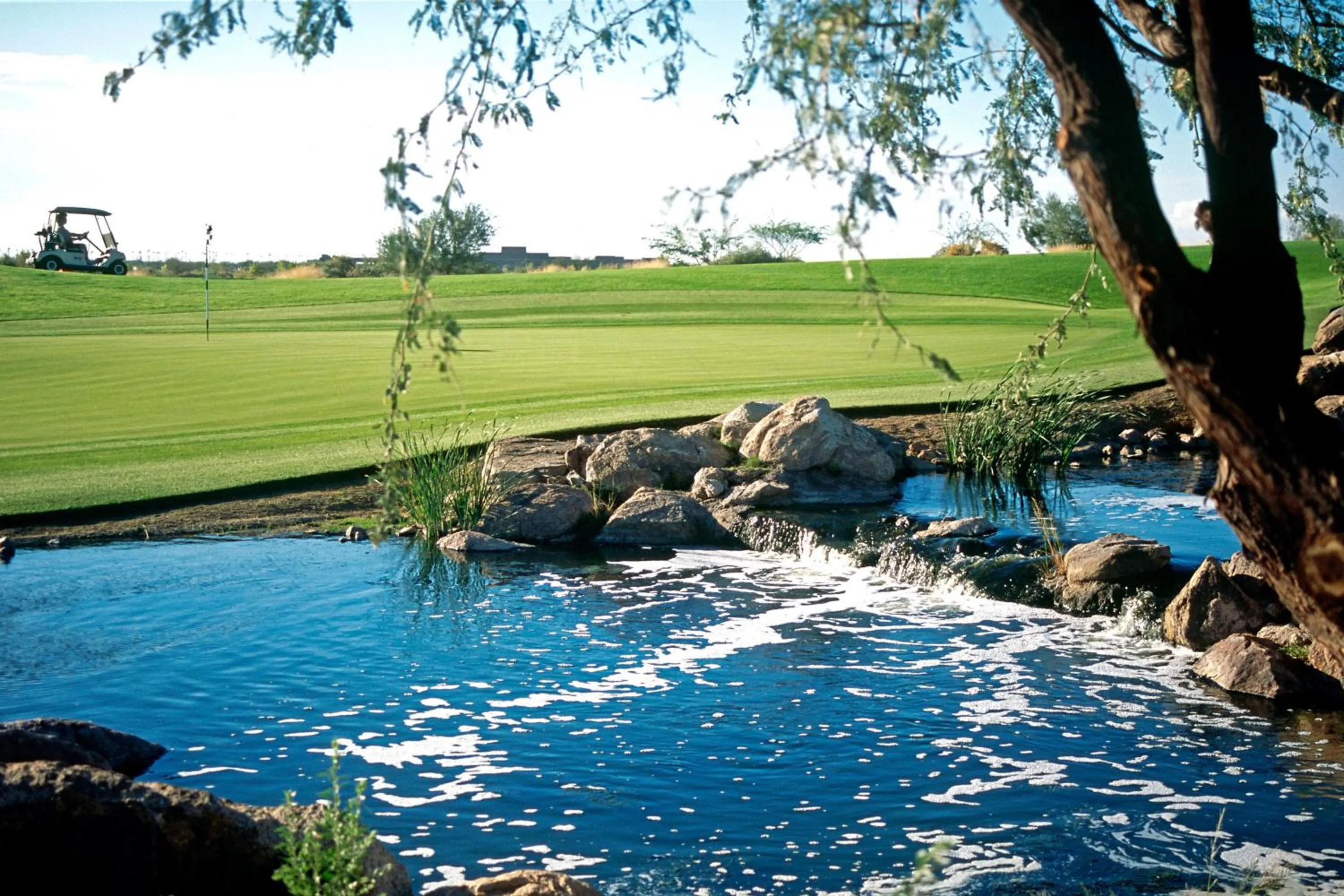 Other in Sheraton Grand at Wild Horse Pass